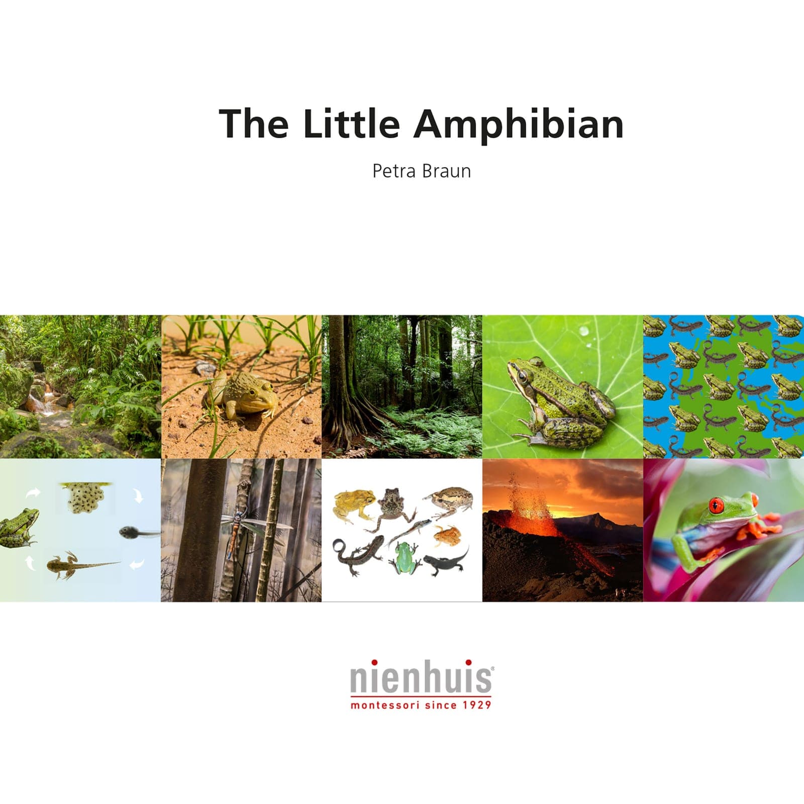 The Little Amphibian — View 1