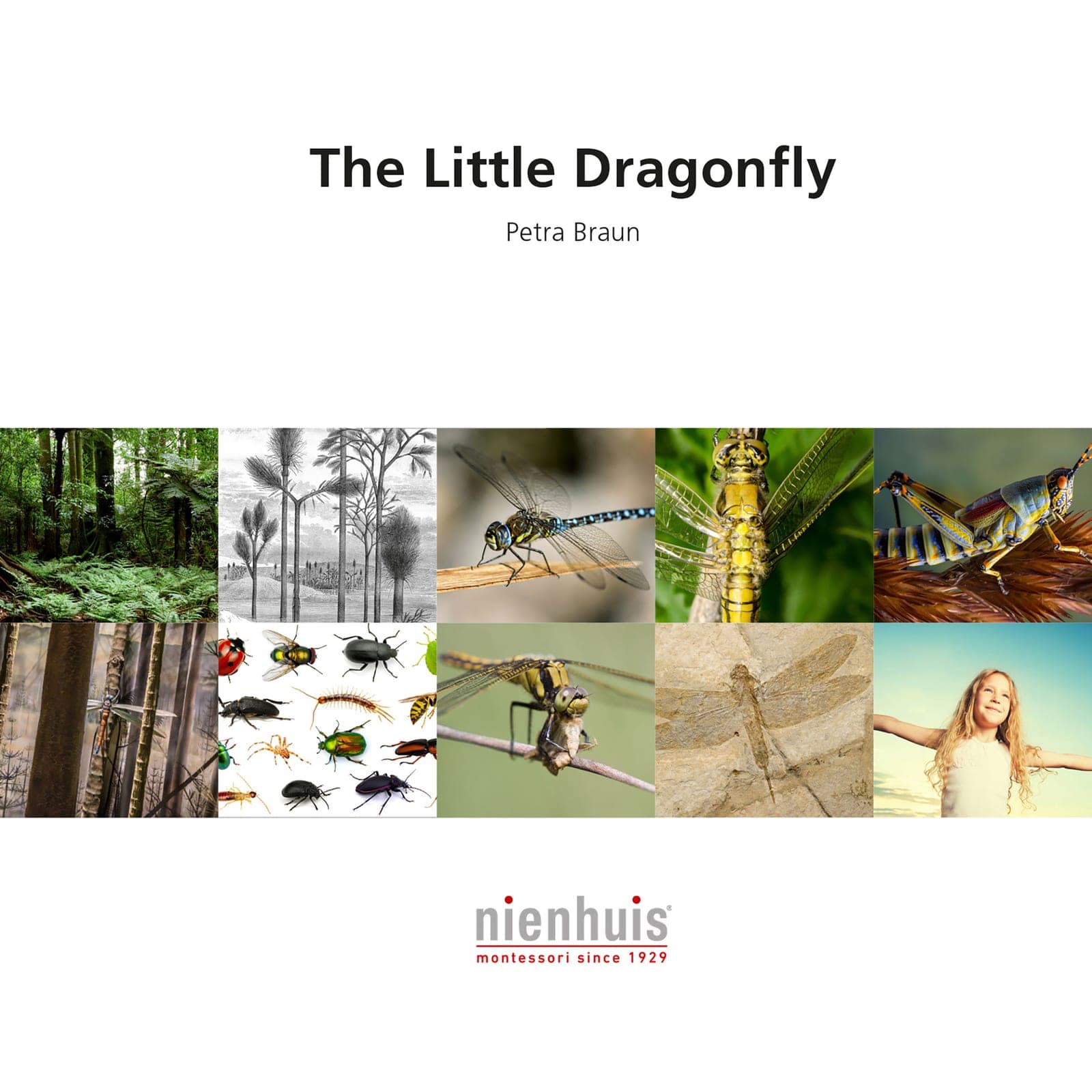 Die kleine Libelle — Montessori Material | Faborino