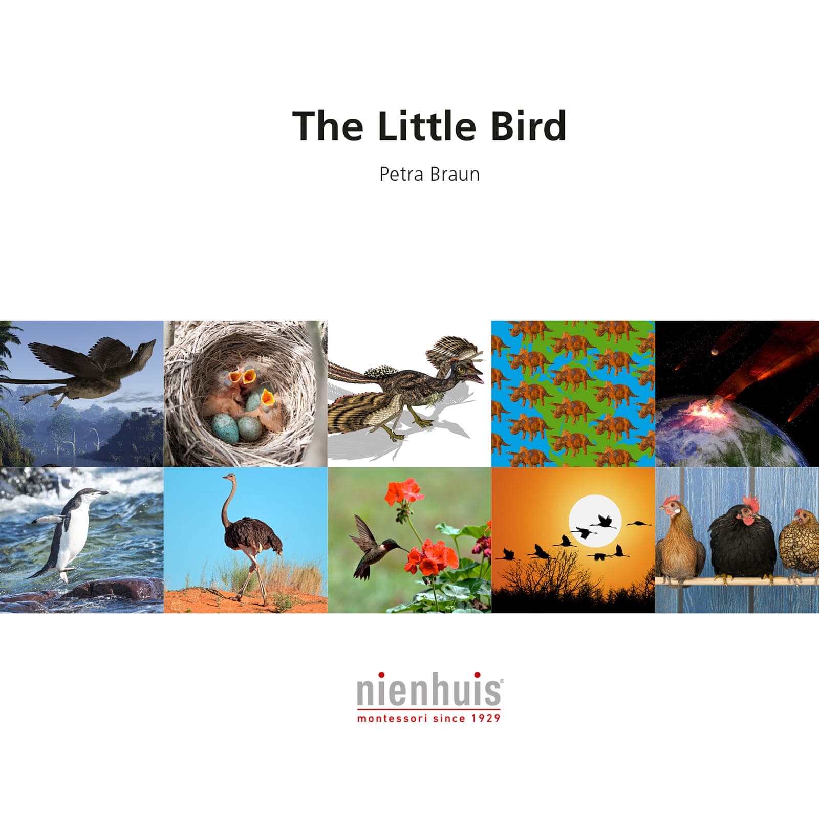 The Little Bird — View 1