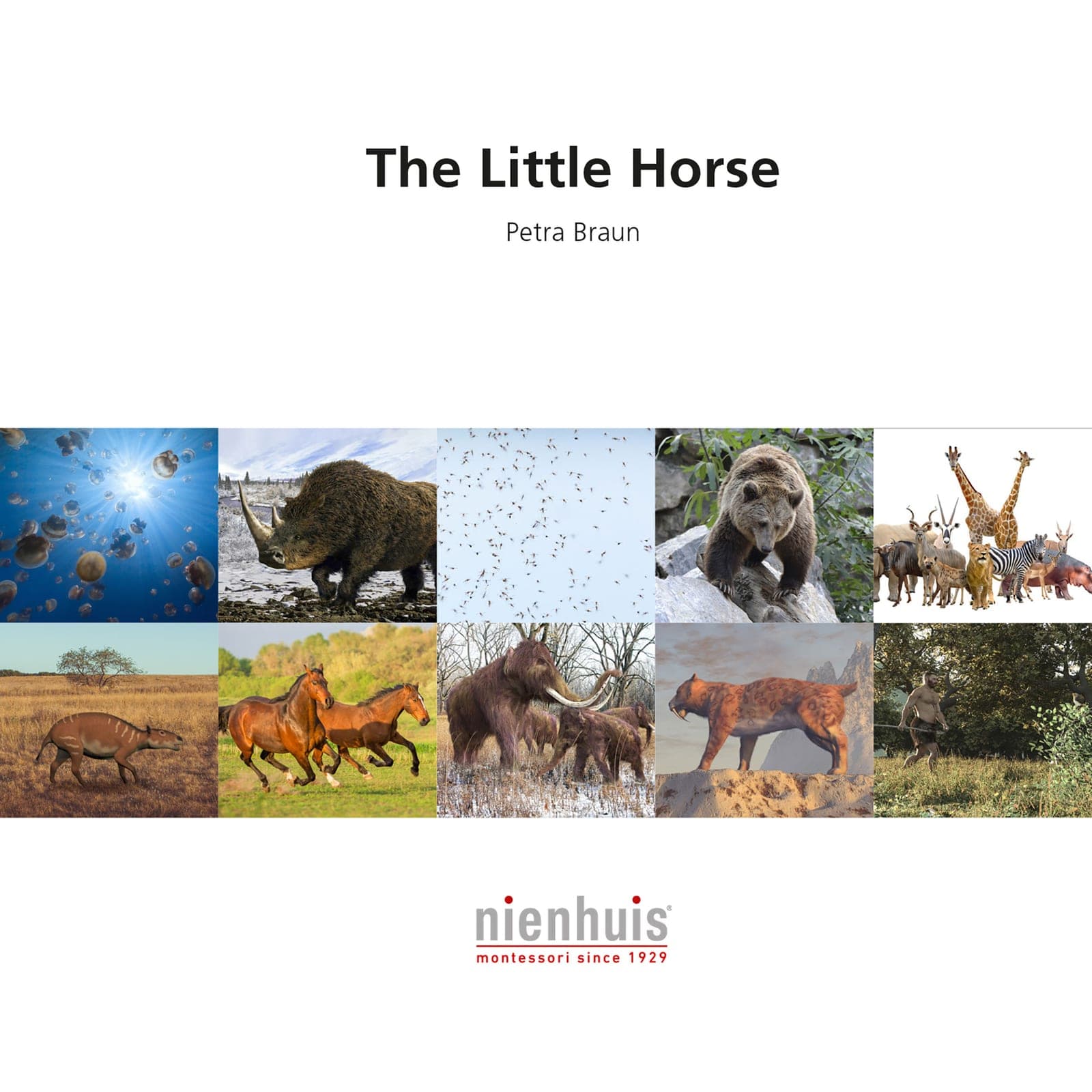 The Little Horse — View 1