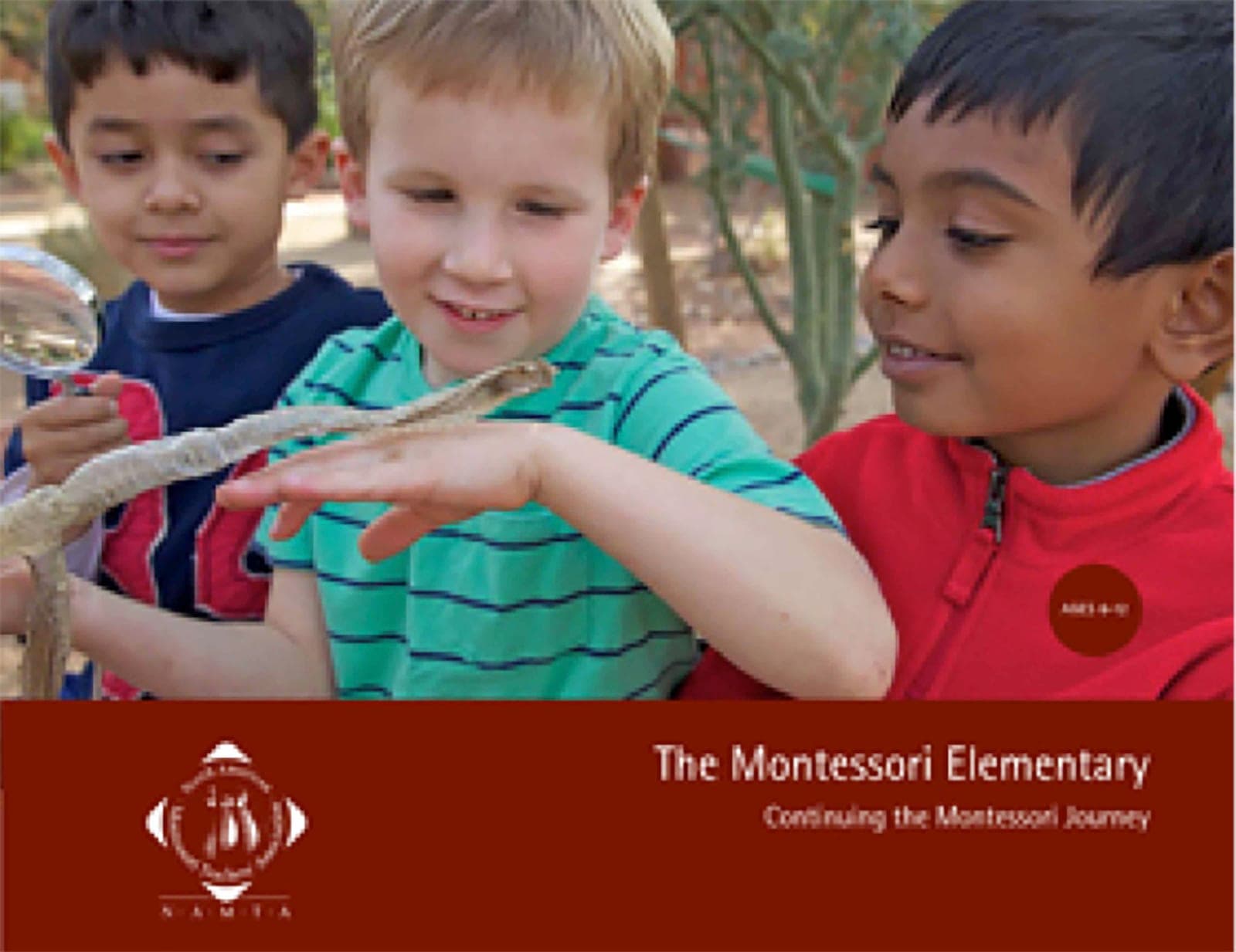 The Montessori Elementary: Continuing The Montessori Journey — View 1