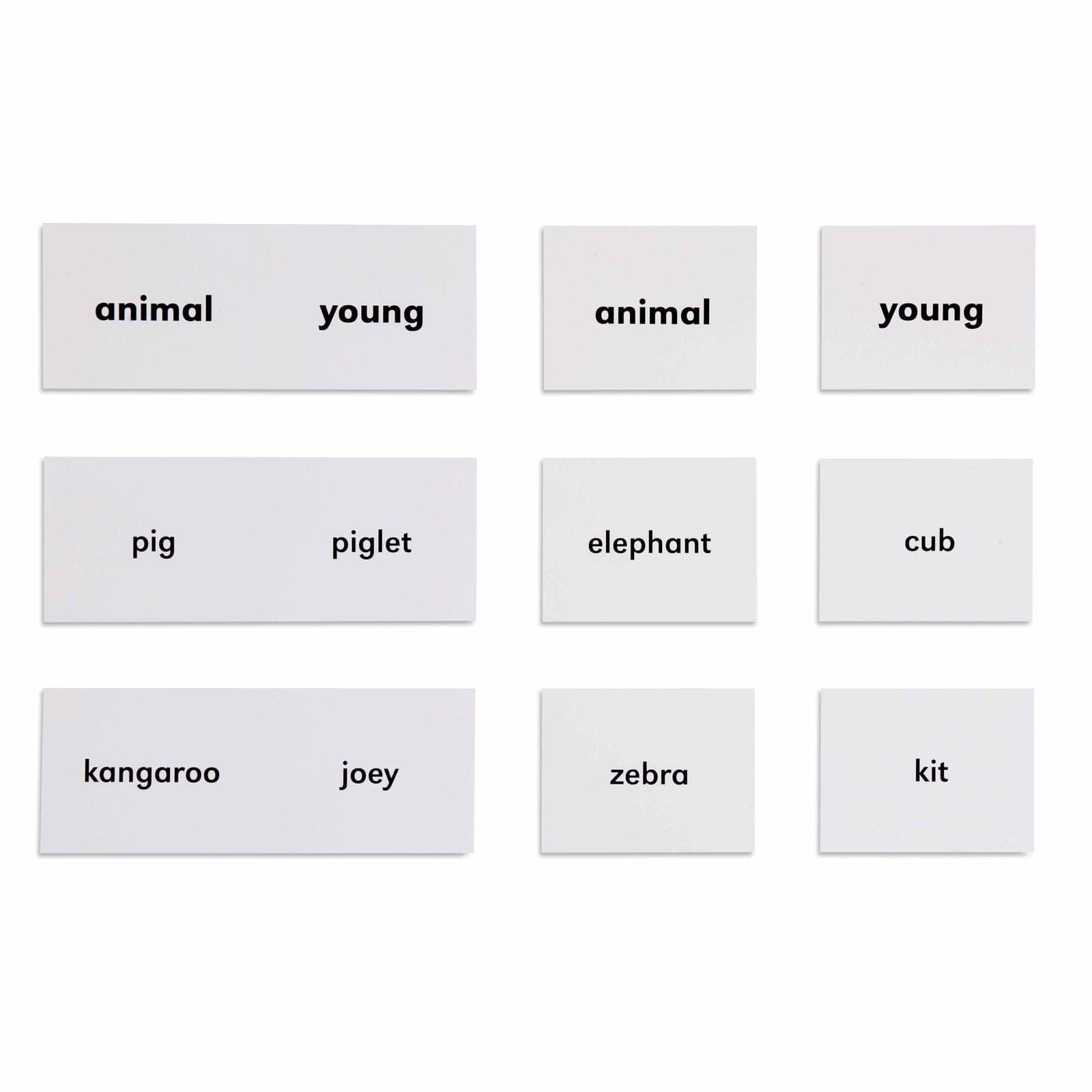 Animals And Their Young — View 1