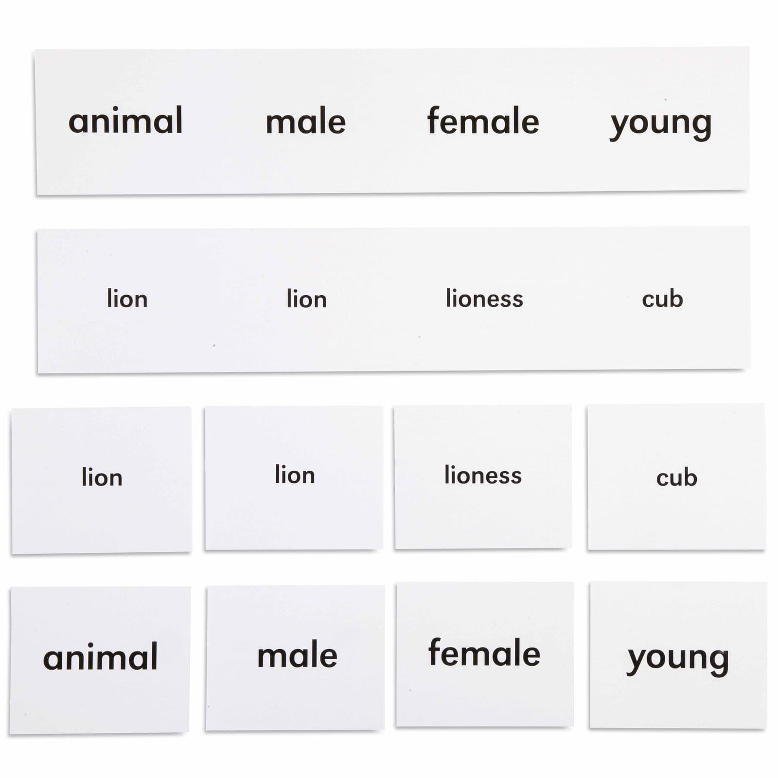 Animal Names — Language Classification Cards — View 1