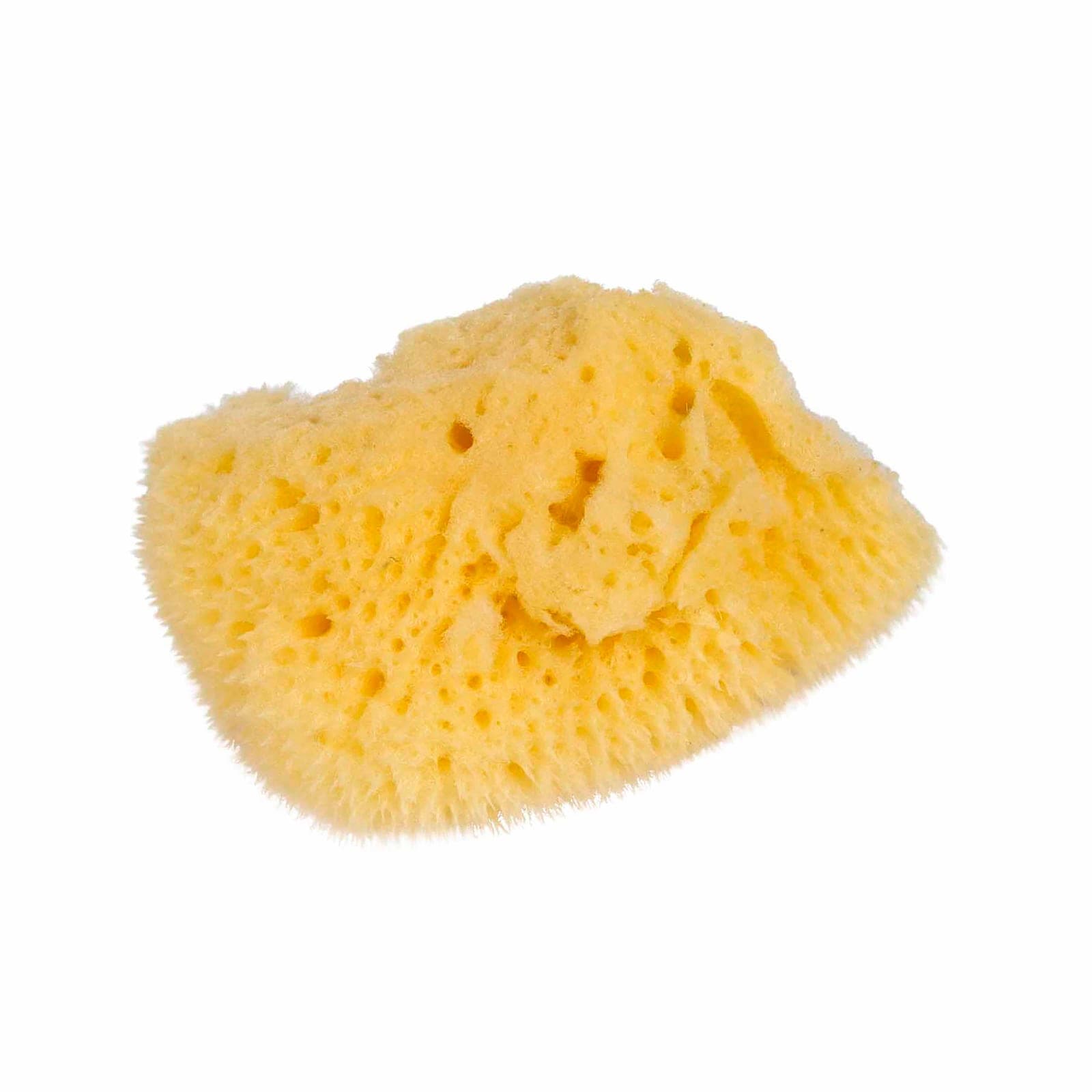 Small Natural Sponge — Montessori Material | Faborino
