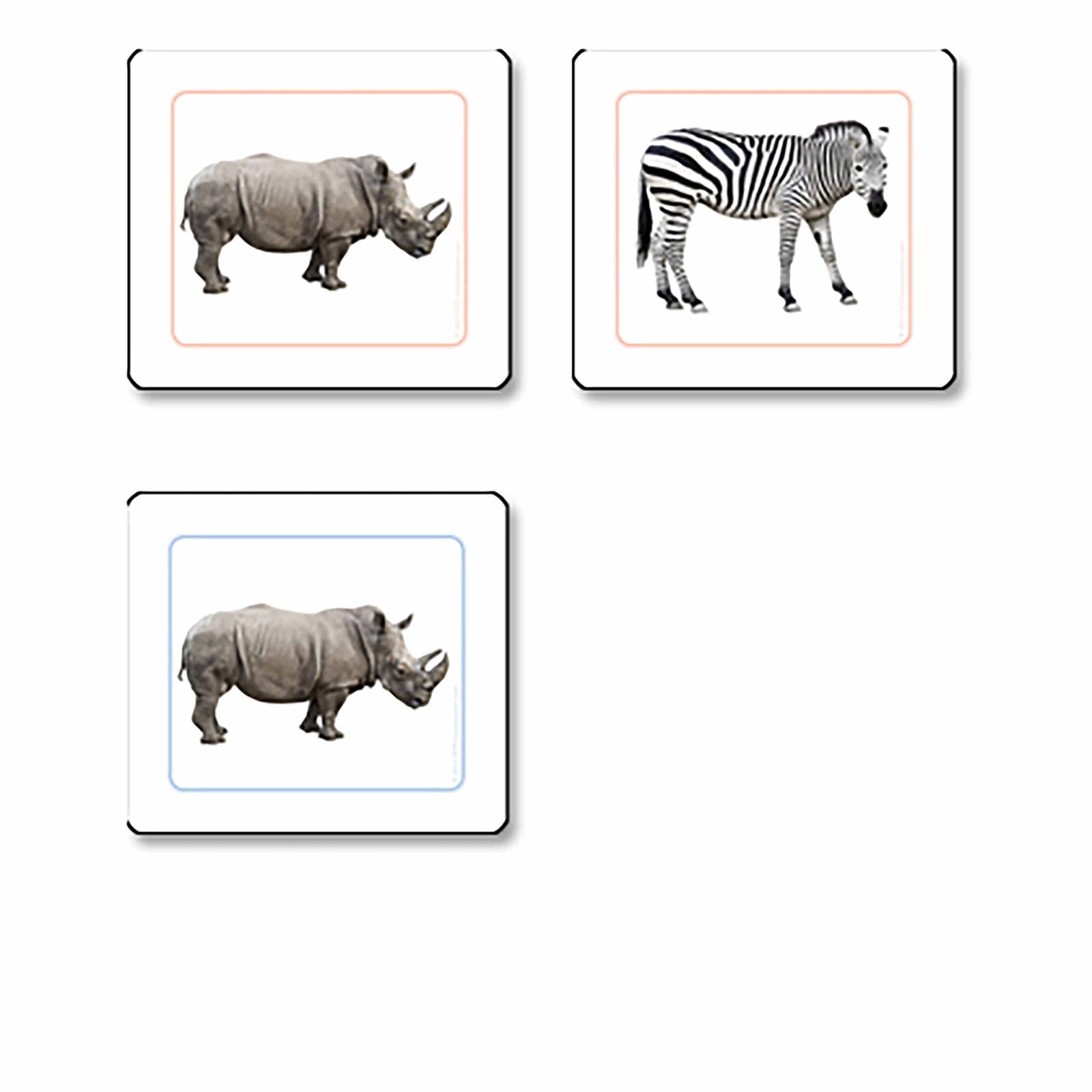 African Animals Matching Cards — View 1