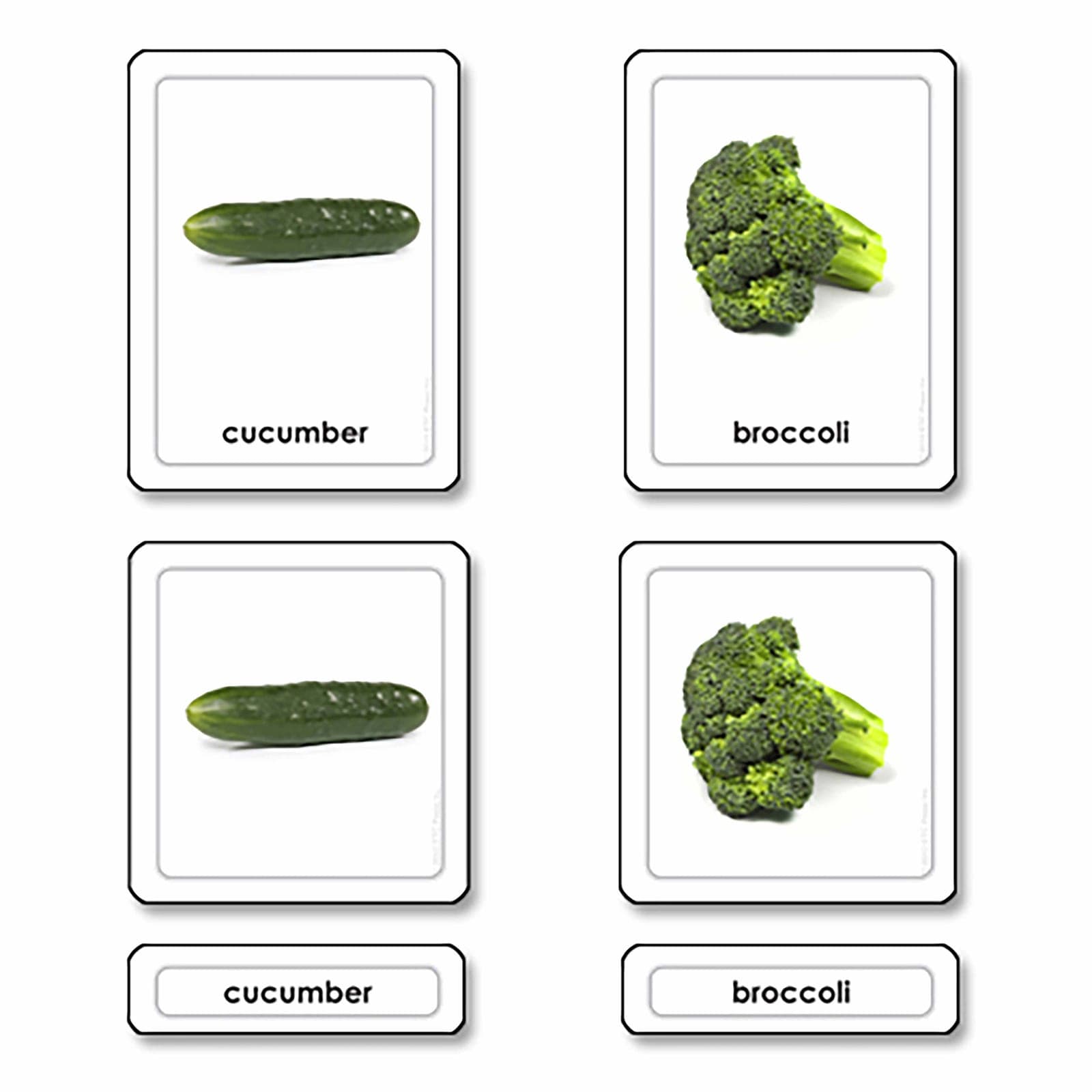 Vegetables 3 Part Cards — Montessori Material | Faborino