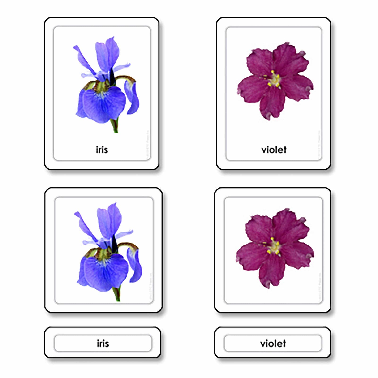 Flowers 3 Part Cards — Montessori Material | Faborino