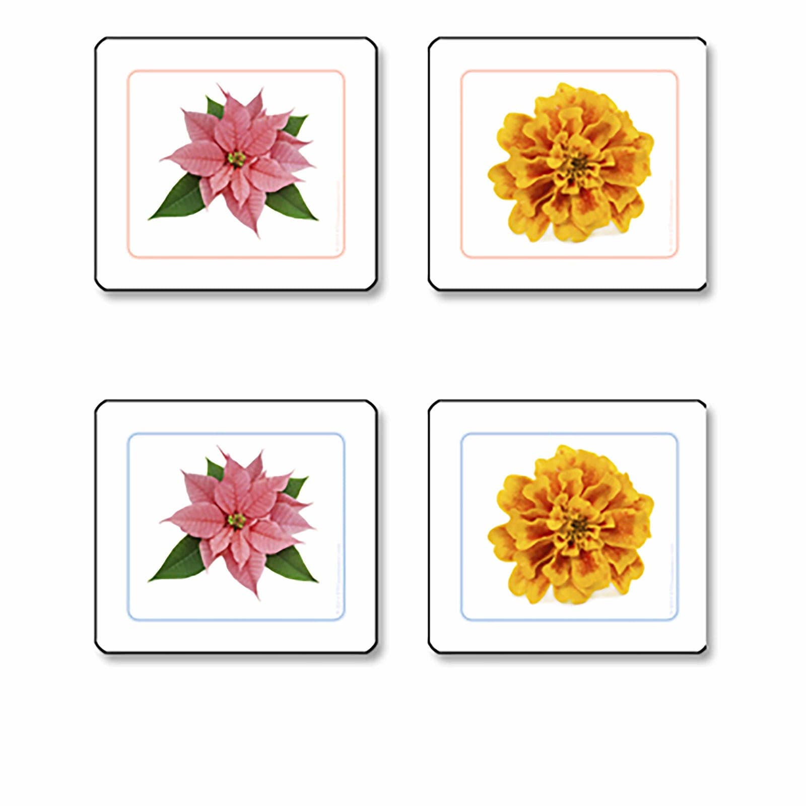 Flowers Matching Cards — Montessori Material | Faborino