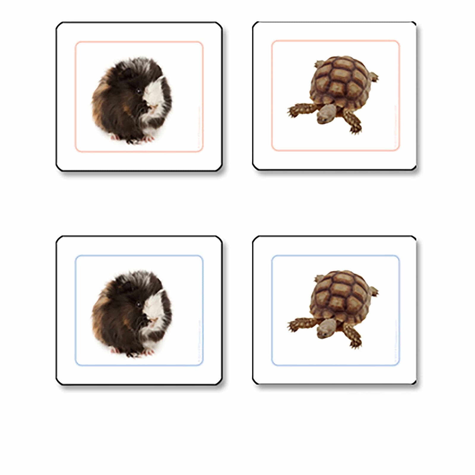 Pets Matching Cards — View 1