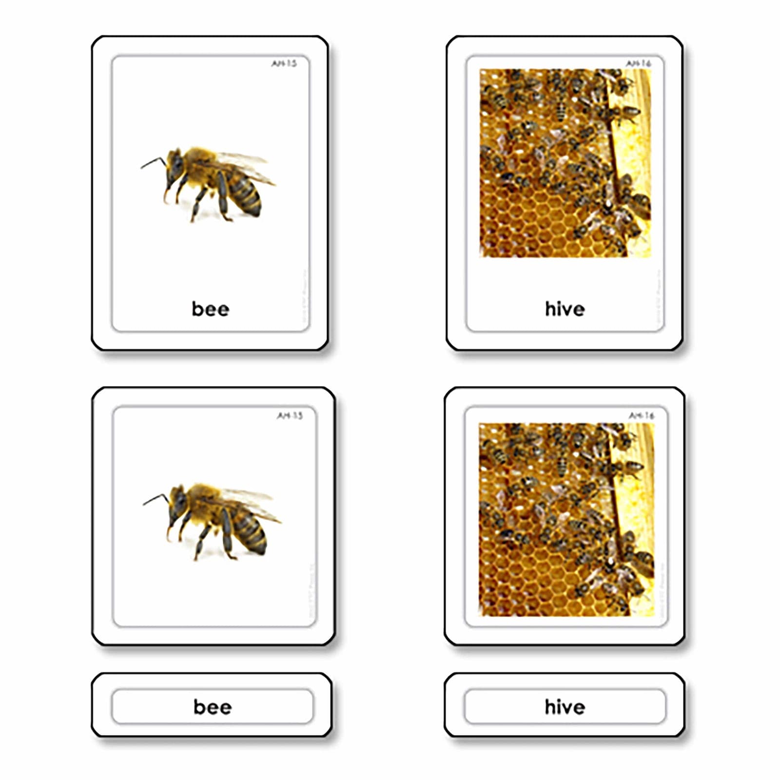 Animal Homes 3 Part Cards — View 1