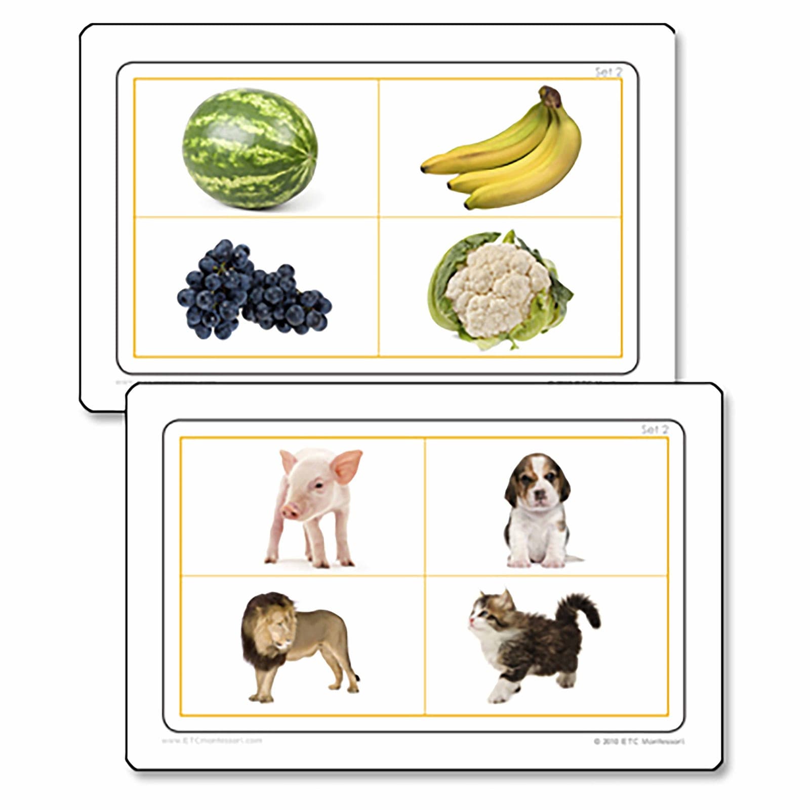 Same And Different — Montessori Material | Faborino