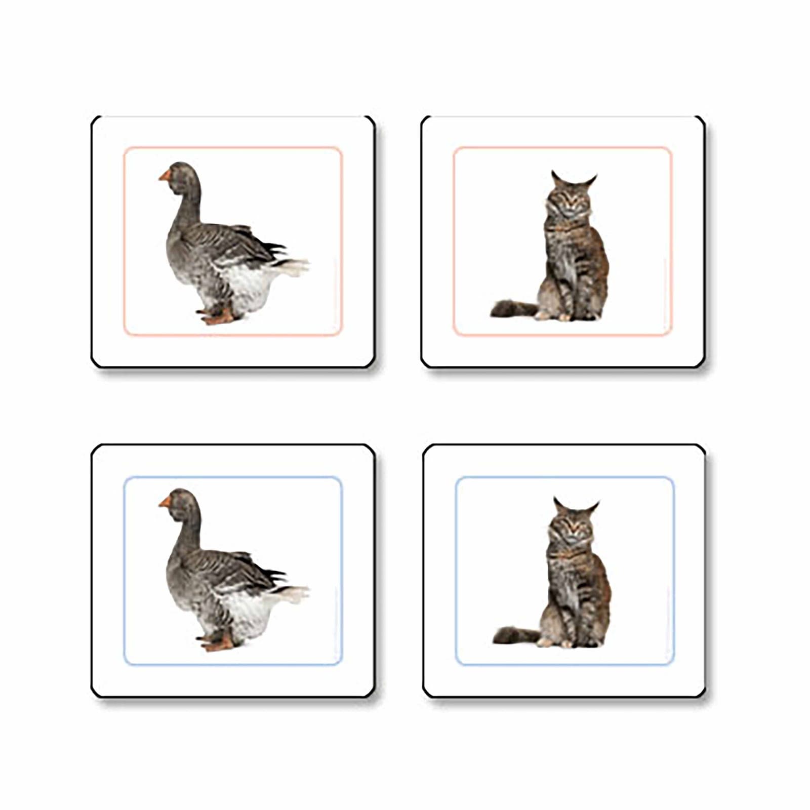 Domestic Animals Matching Work Cards — Montessori Material | Faborino