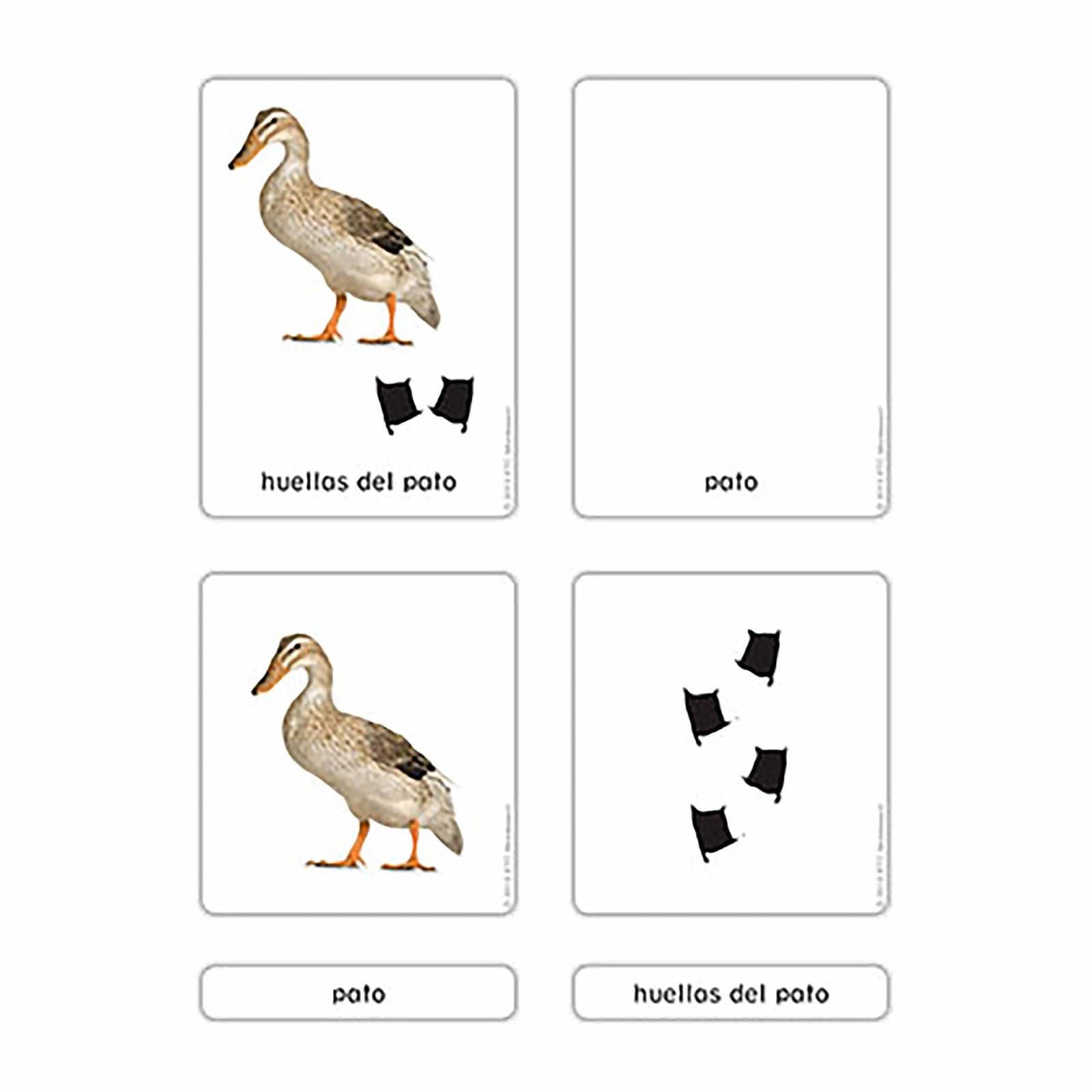 Farm Animal Footprints (Spanish Edition) — Montessori Material | Faborino