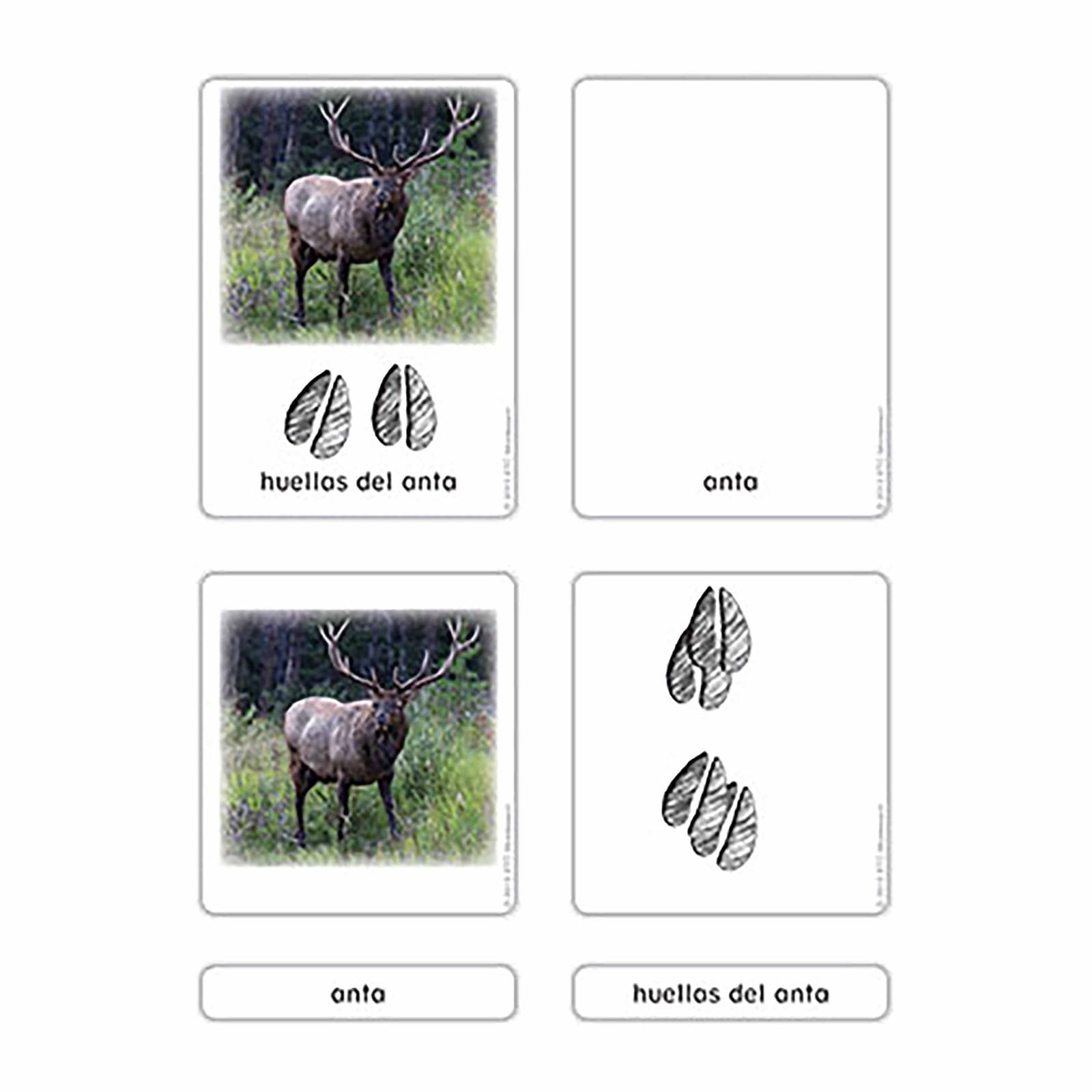 North American Animal Tracks — Activity Cards — Montessori Material | Faborino