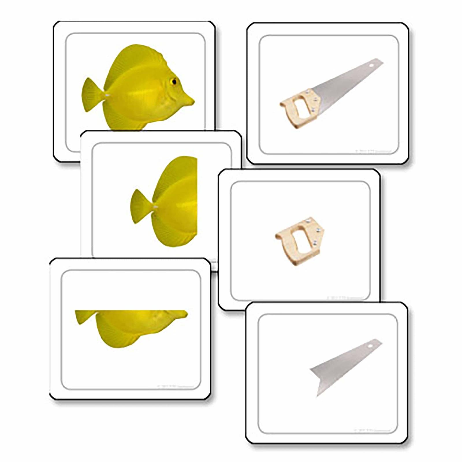 Partes De Lo Entero — Montessori Material | Faborino