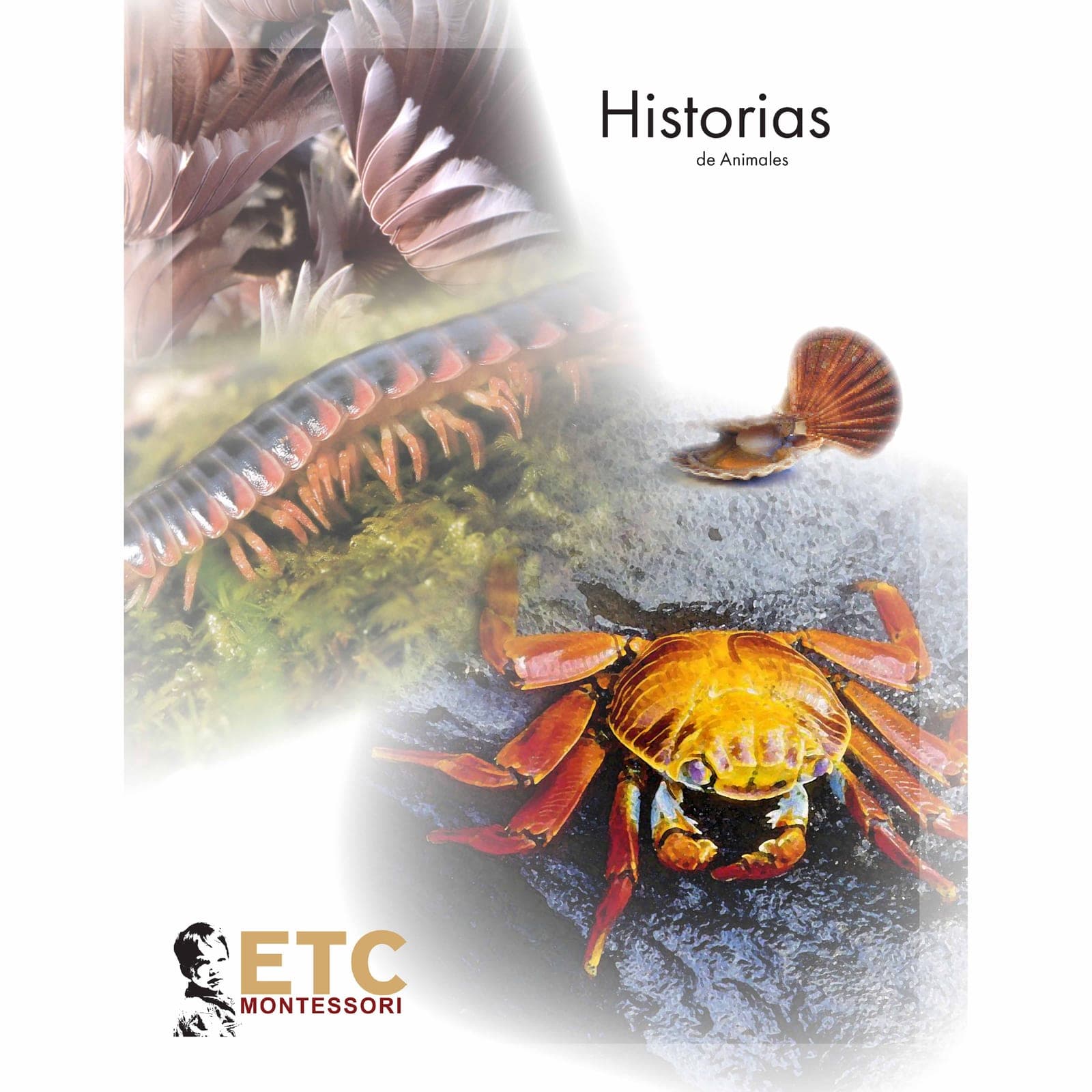 Animal Stories — Elementary Zoology — Montessori Material | Faborino