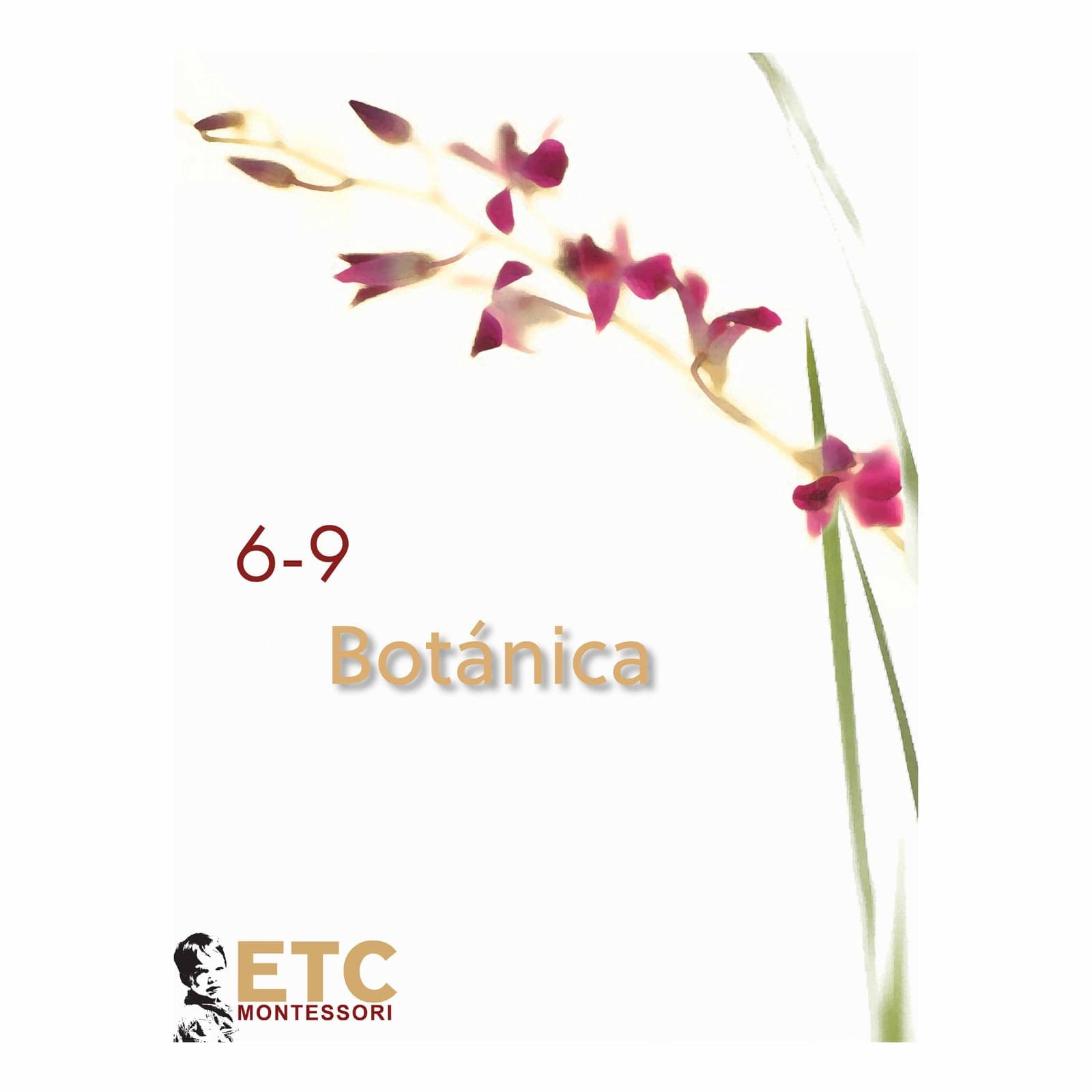 Lower Elementary Botany Cards — Scientific Plant Nomenclature — Side view