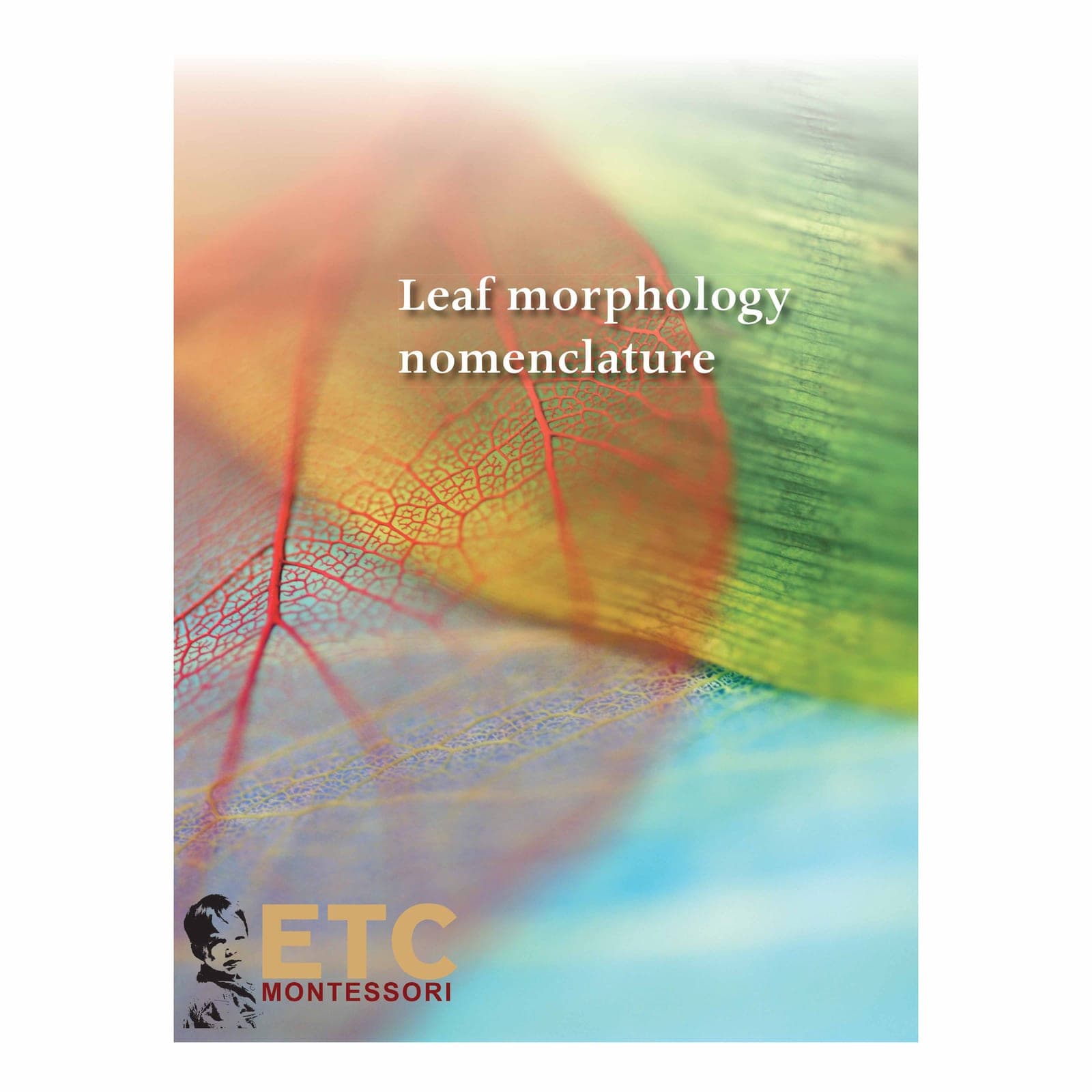 Leaf Morphology Nomenclature