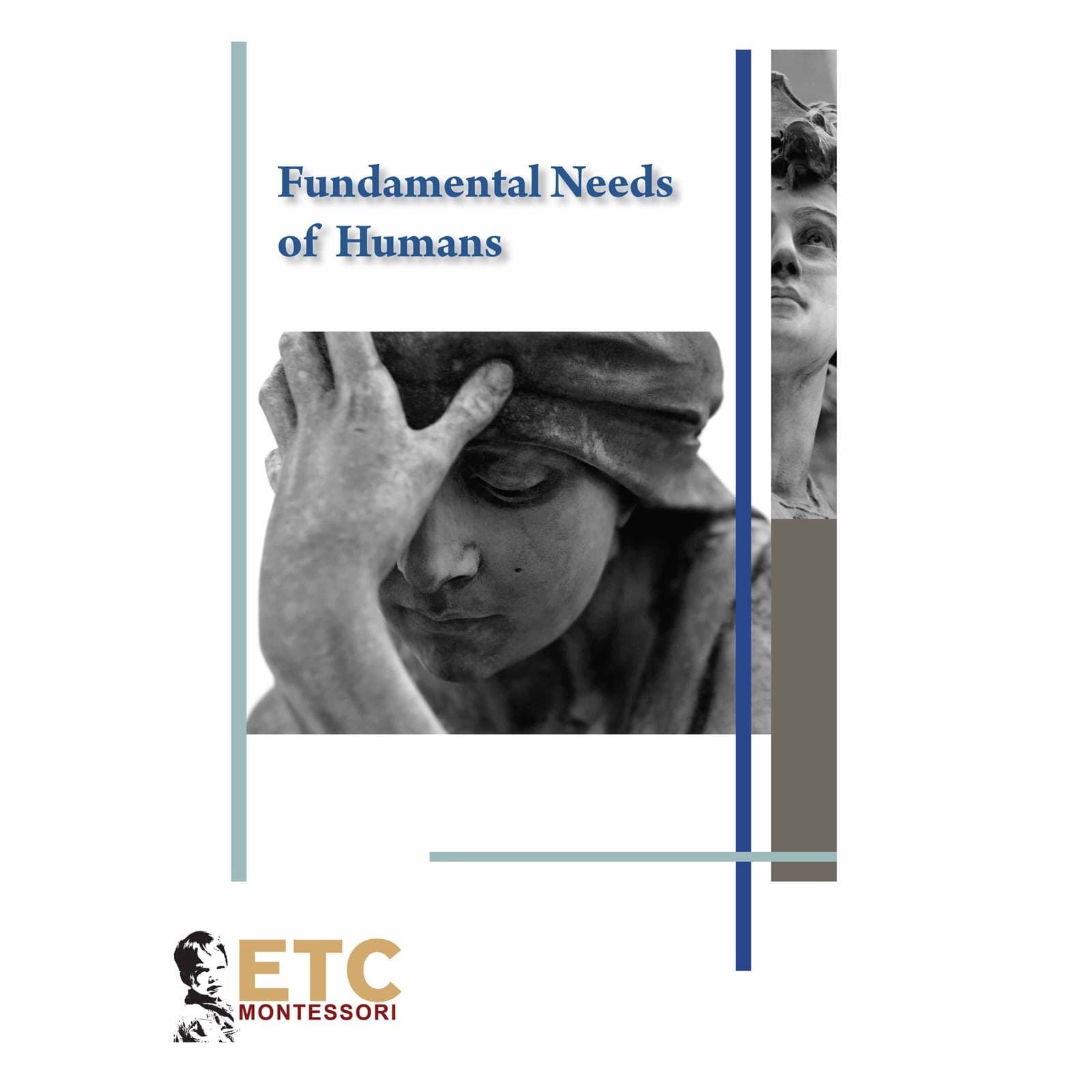 Fundamental Needs Of Humans — Montessori Material | Faborino