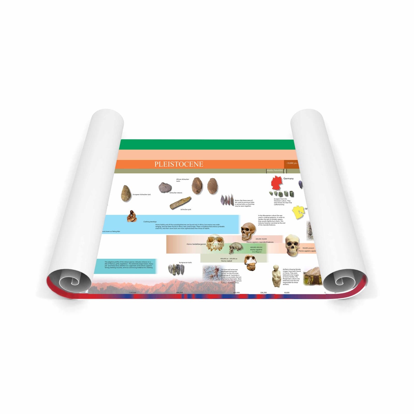 Timeline Of Early Humans (Large Display) — Montessori Material | Faborino