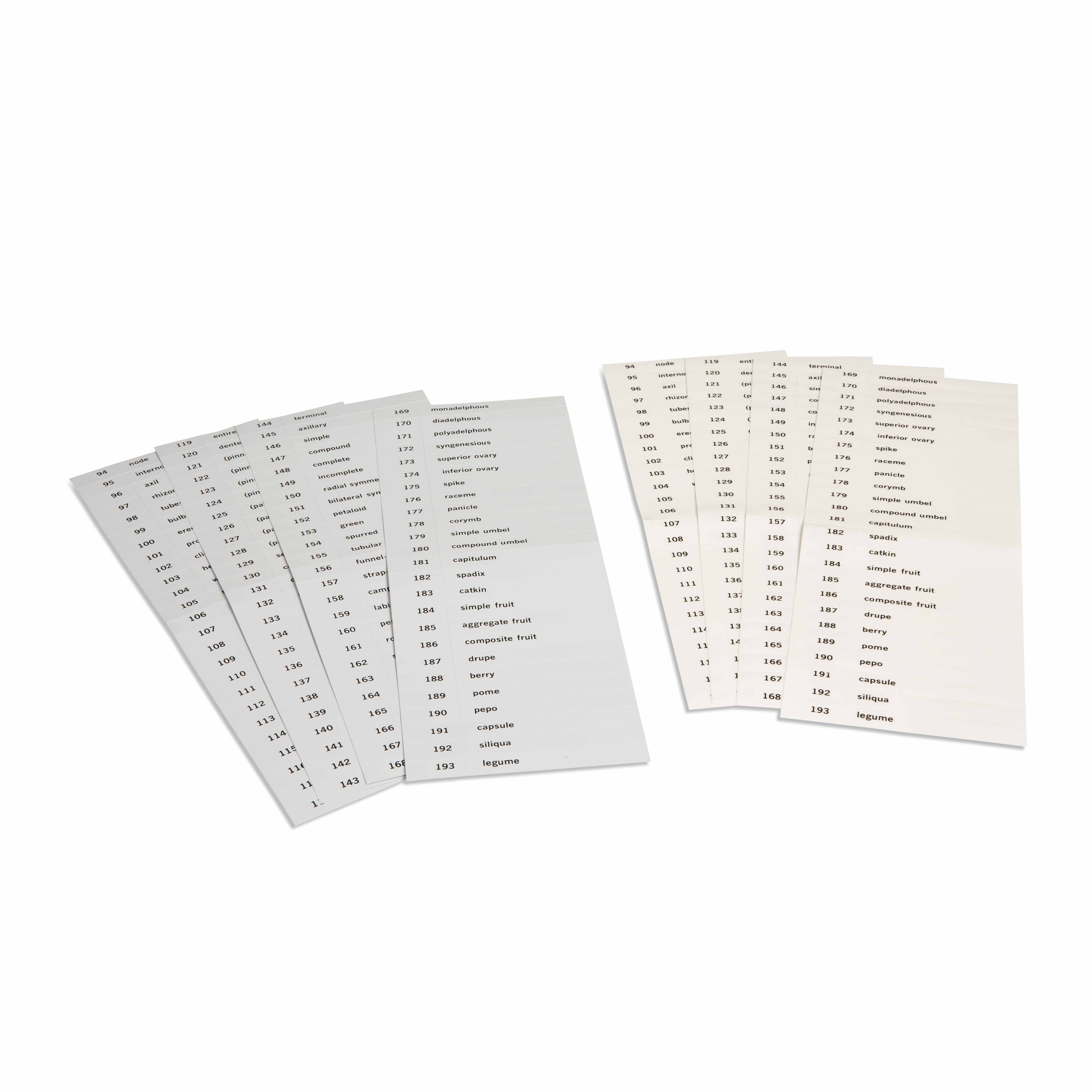 Namenskarten: Drittes Set Botanikkarten