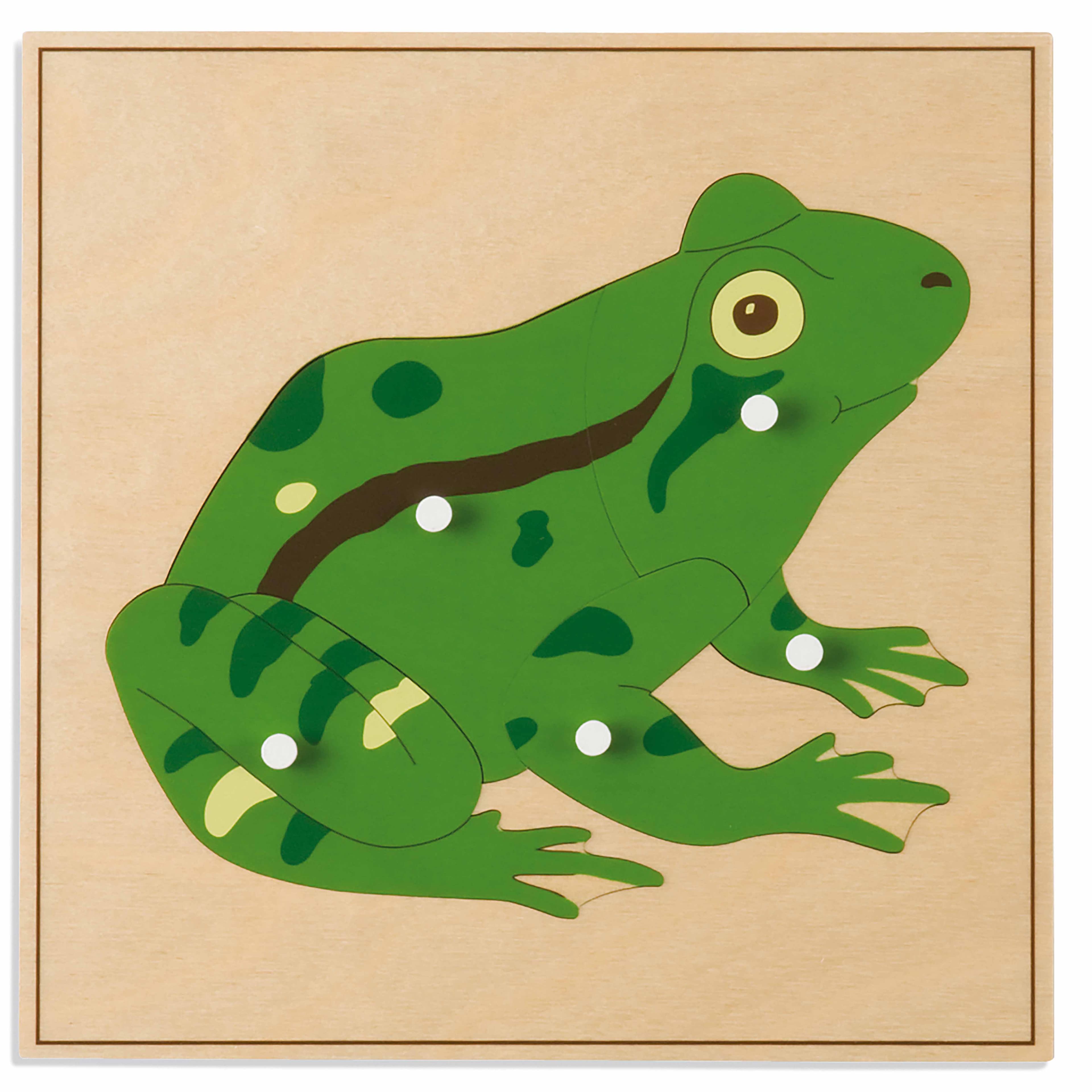 Tierpuzzle: Frosch