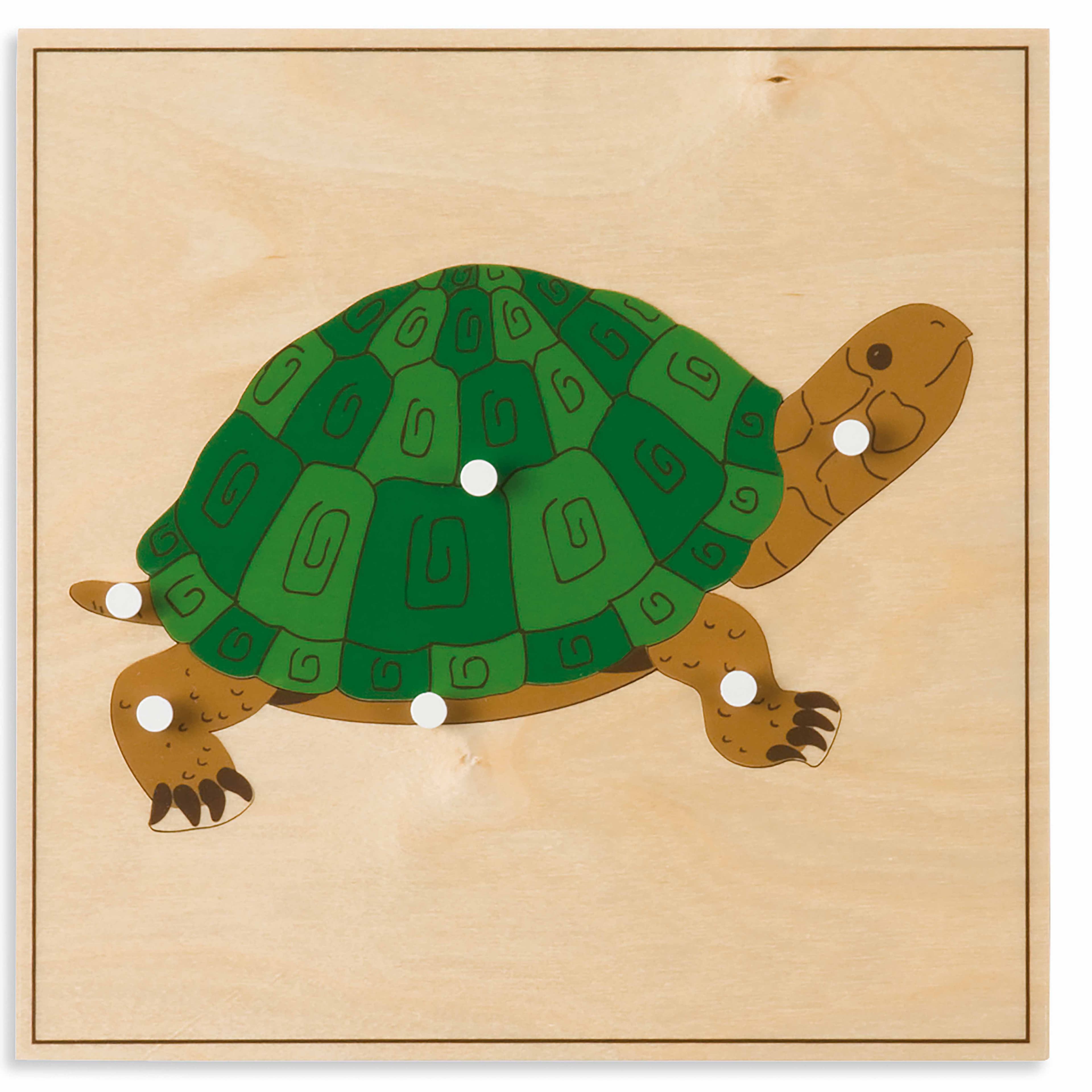 Tierpuzzle: Schildkröte