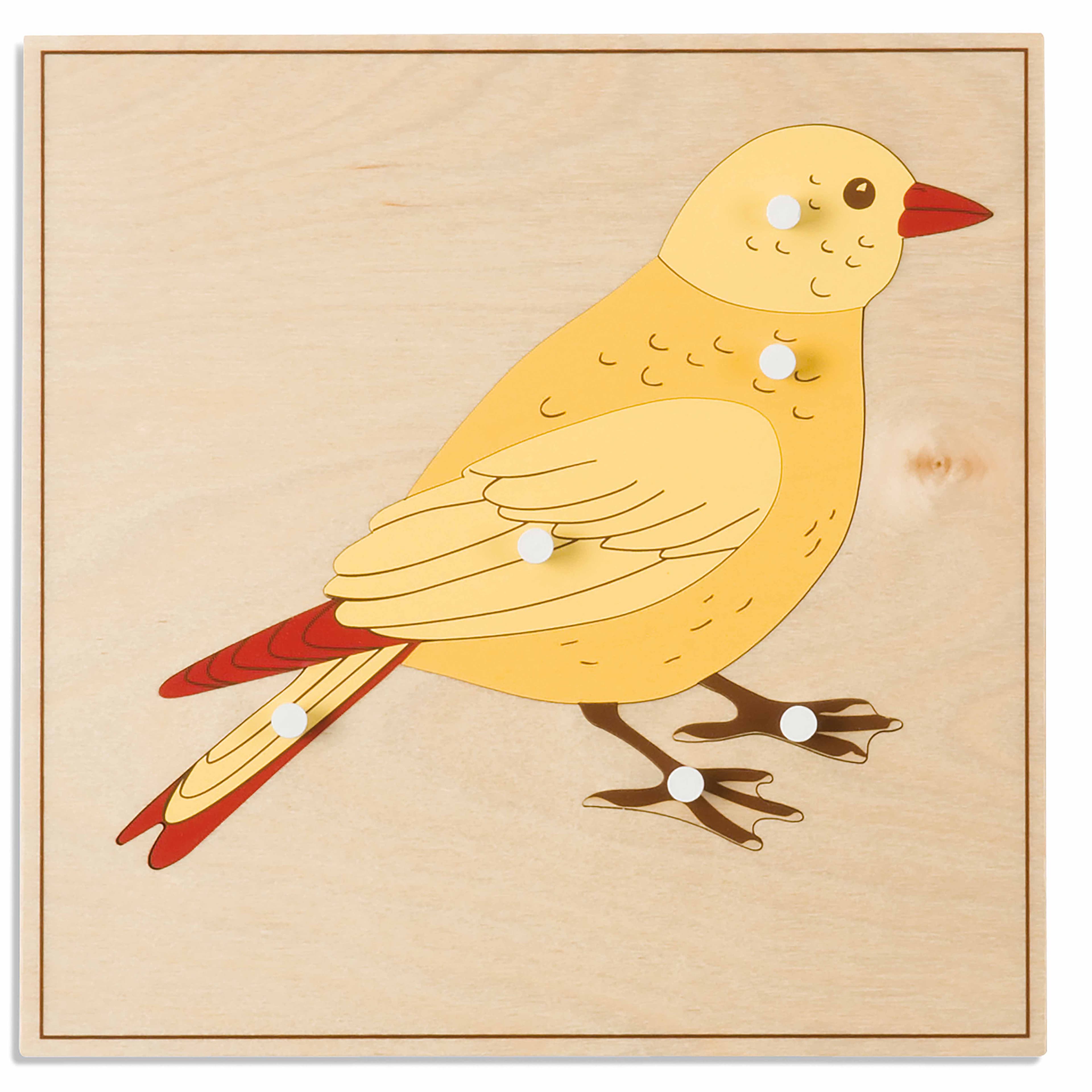 Tierpuzzle: Vogel