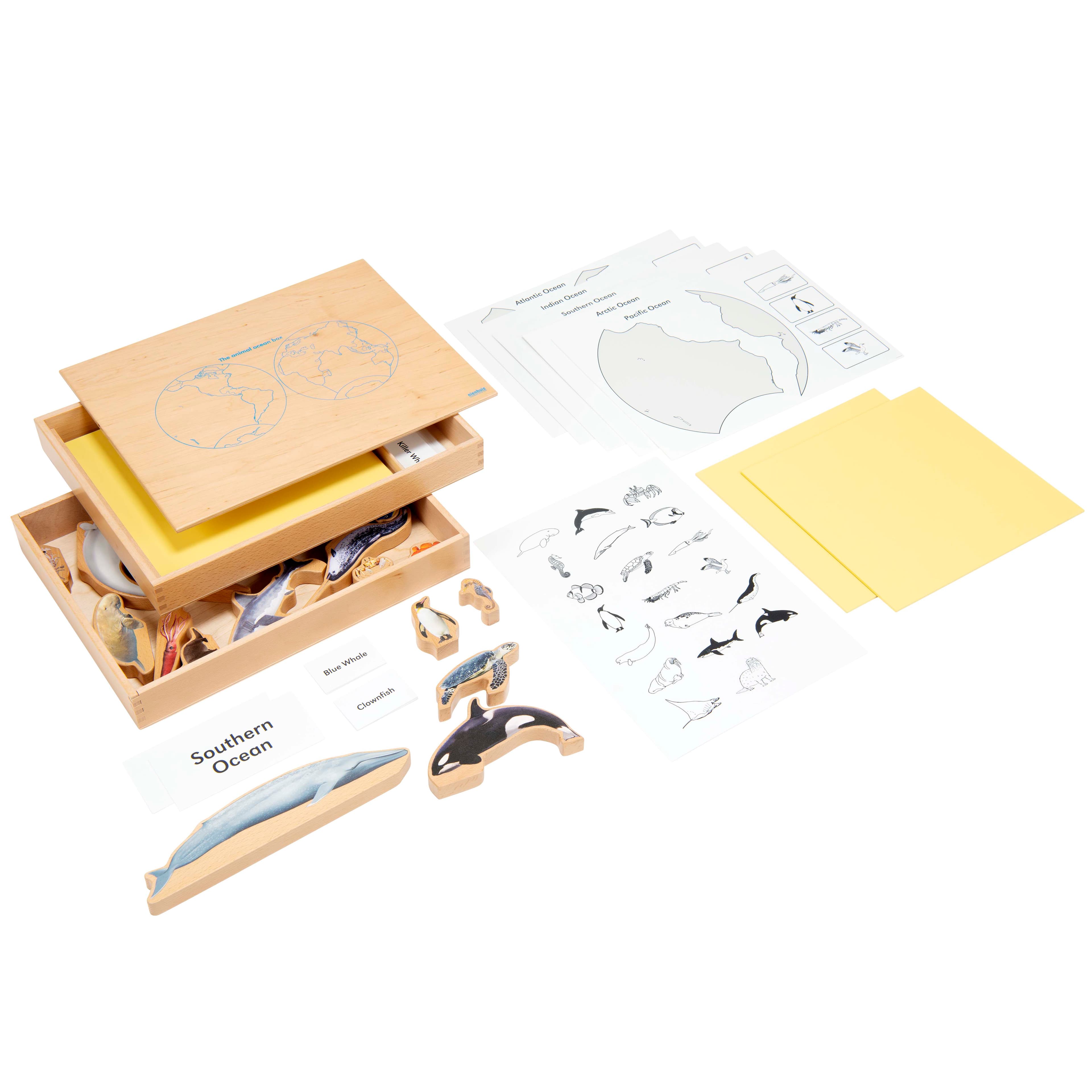 Meerestiere-Box — Klassifizierung und Wortschatz — Katalogansicht