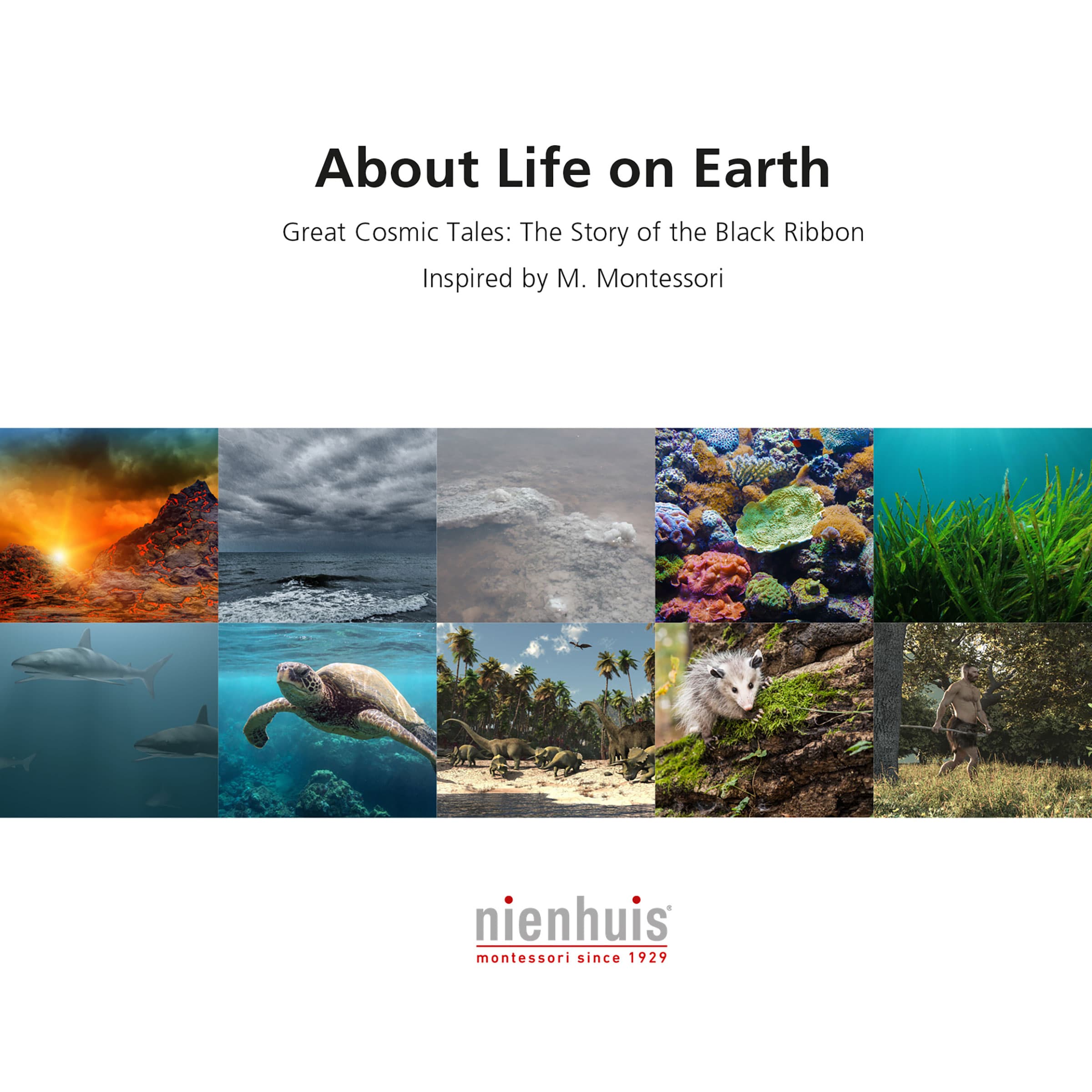 Über das Leben auf der Erde