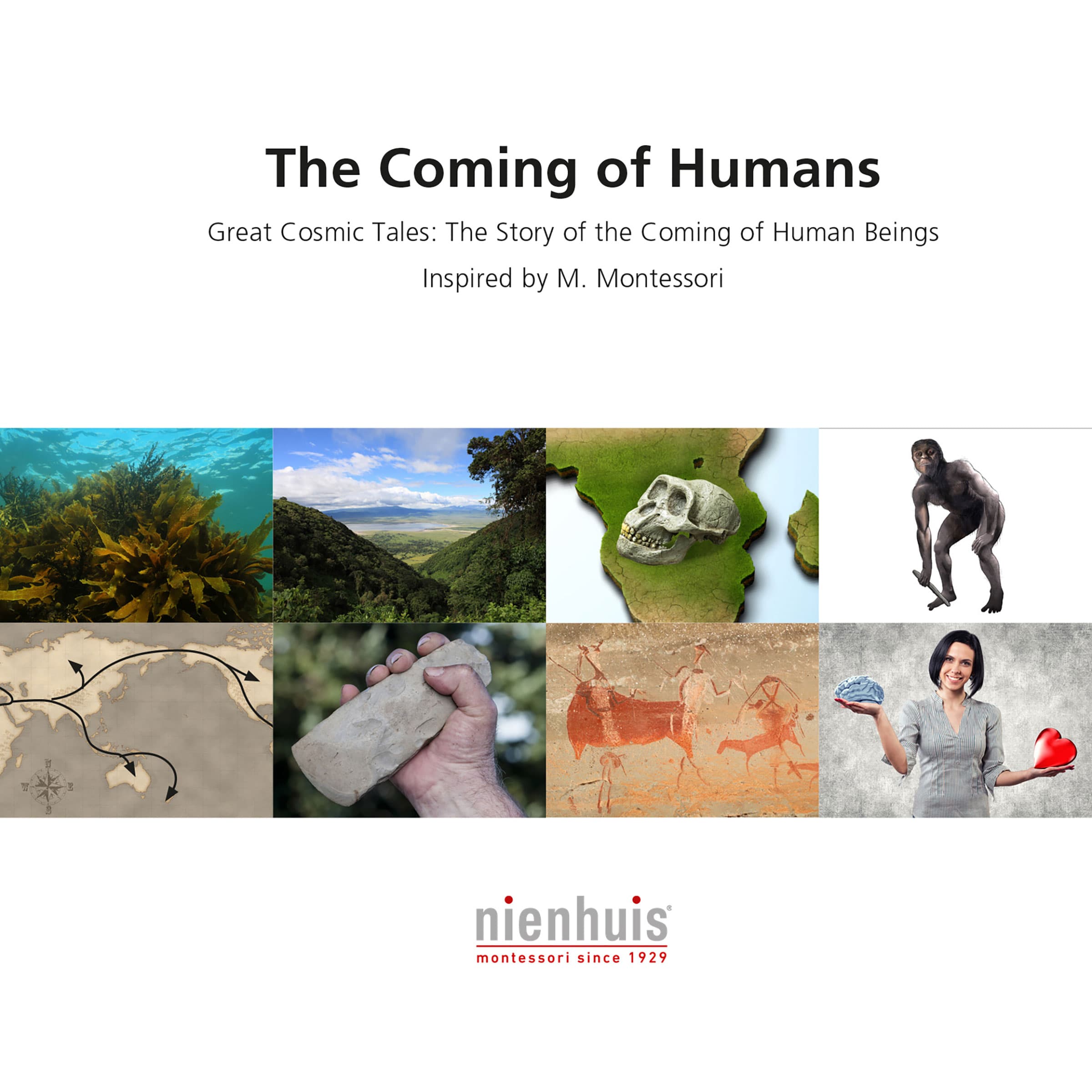 Die Ankunft des Menschen