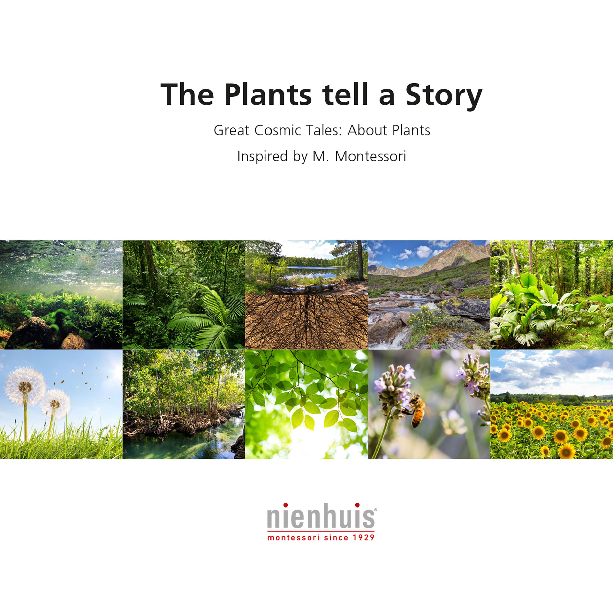 Die Pflanzen erzählen eine Geschichte
