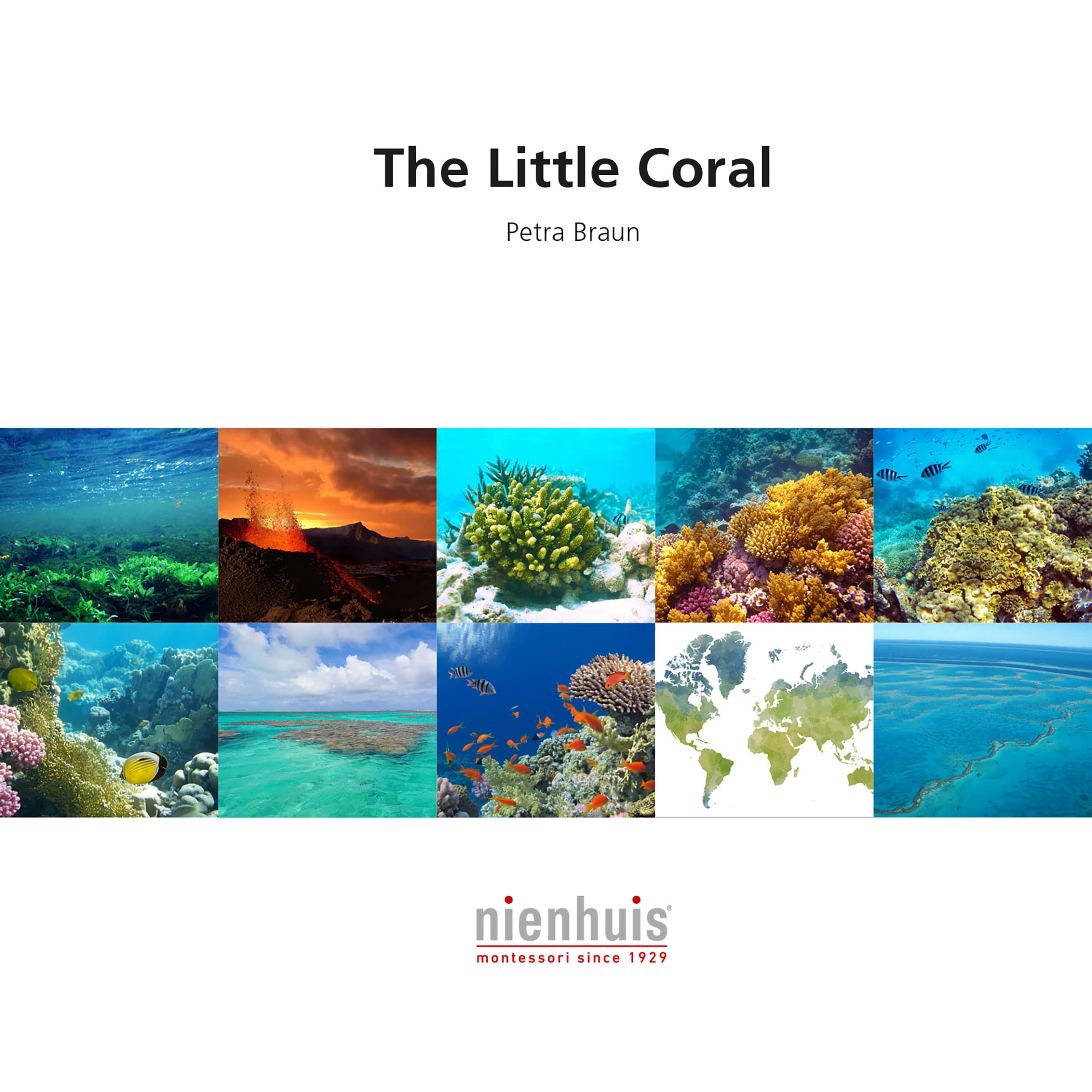 The Little Coral