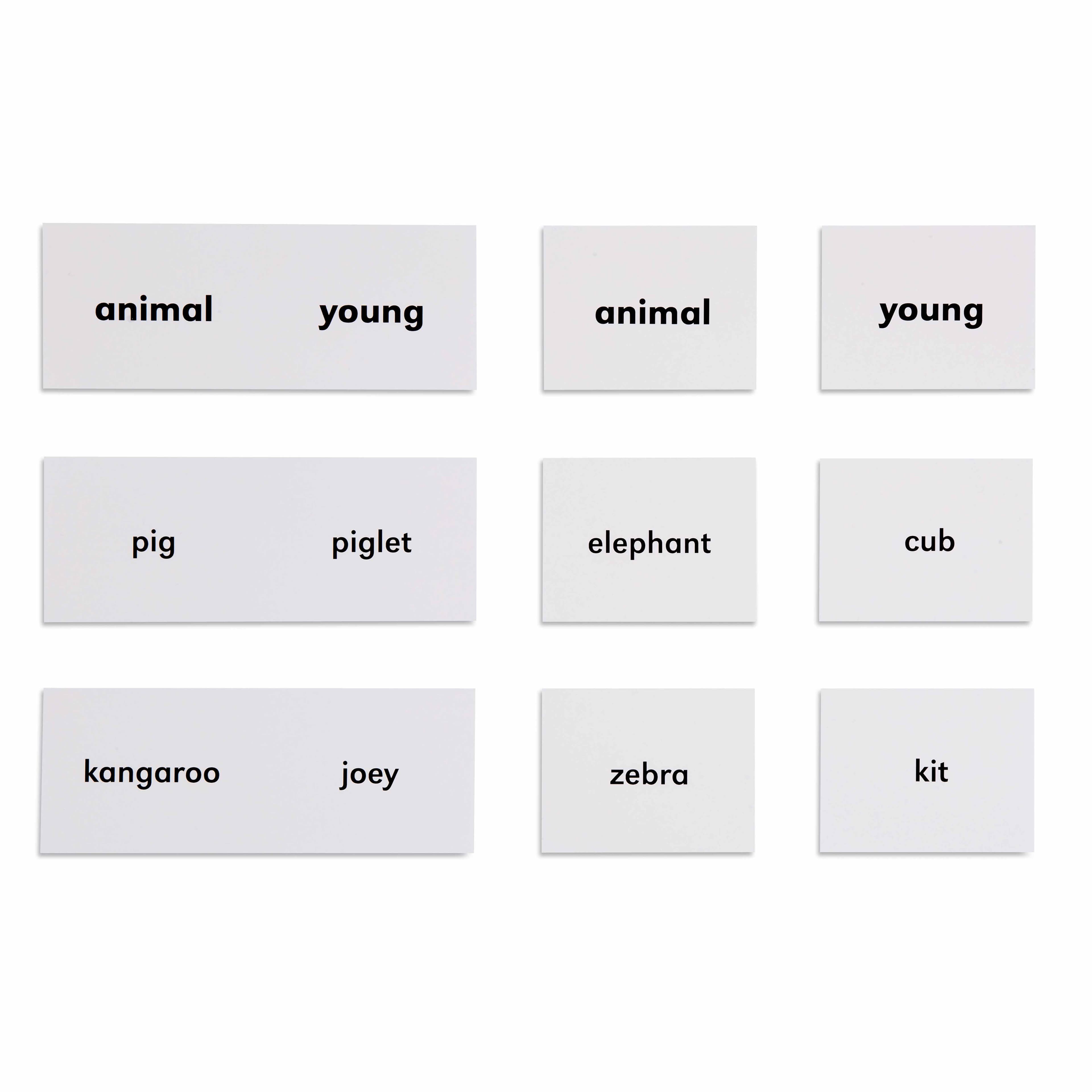 Tiere und ihre Jungen