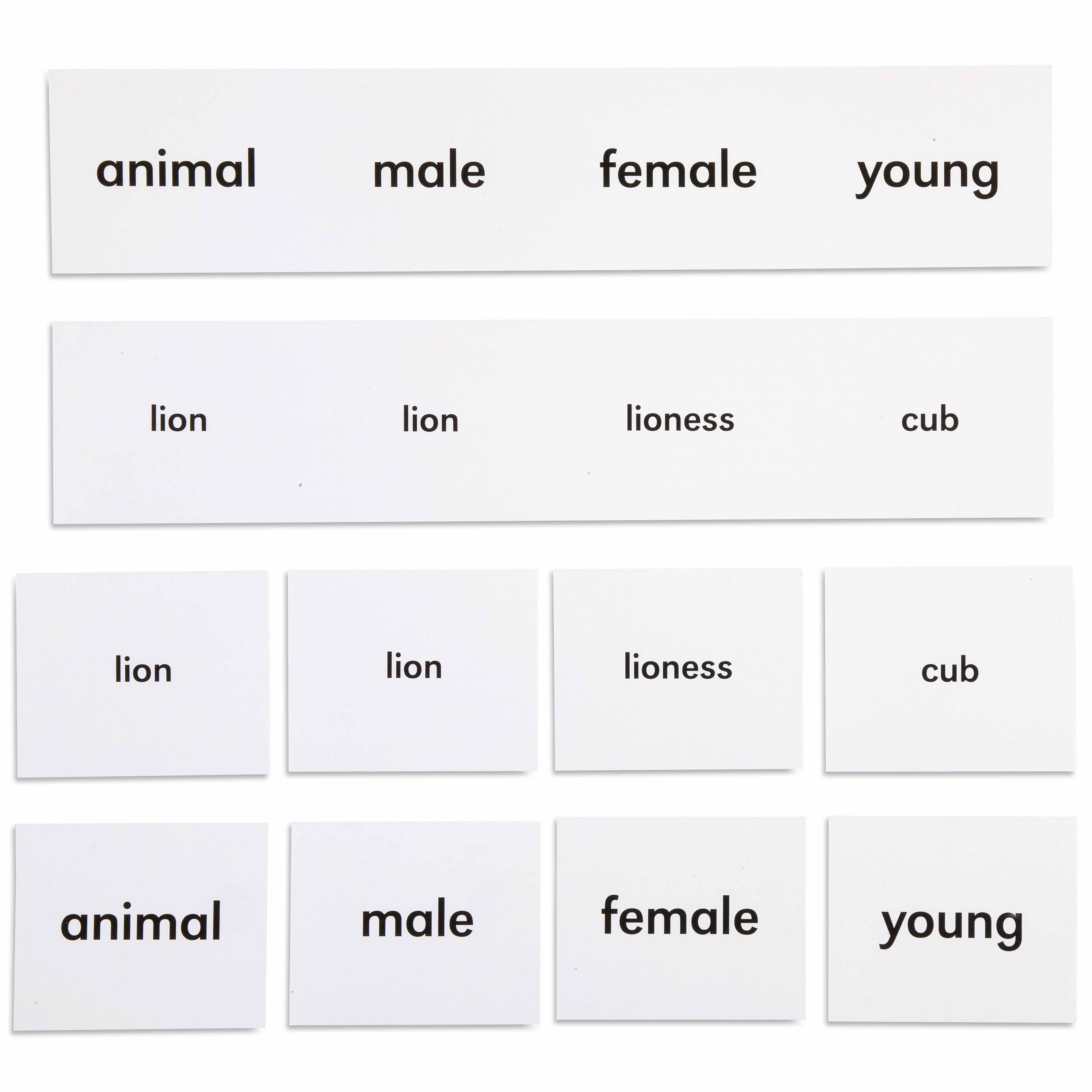 Animal Names