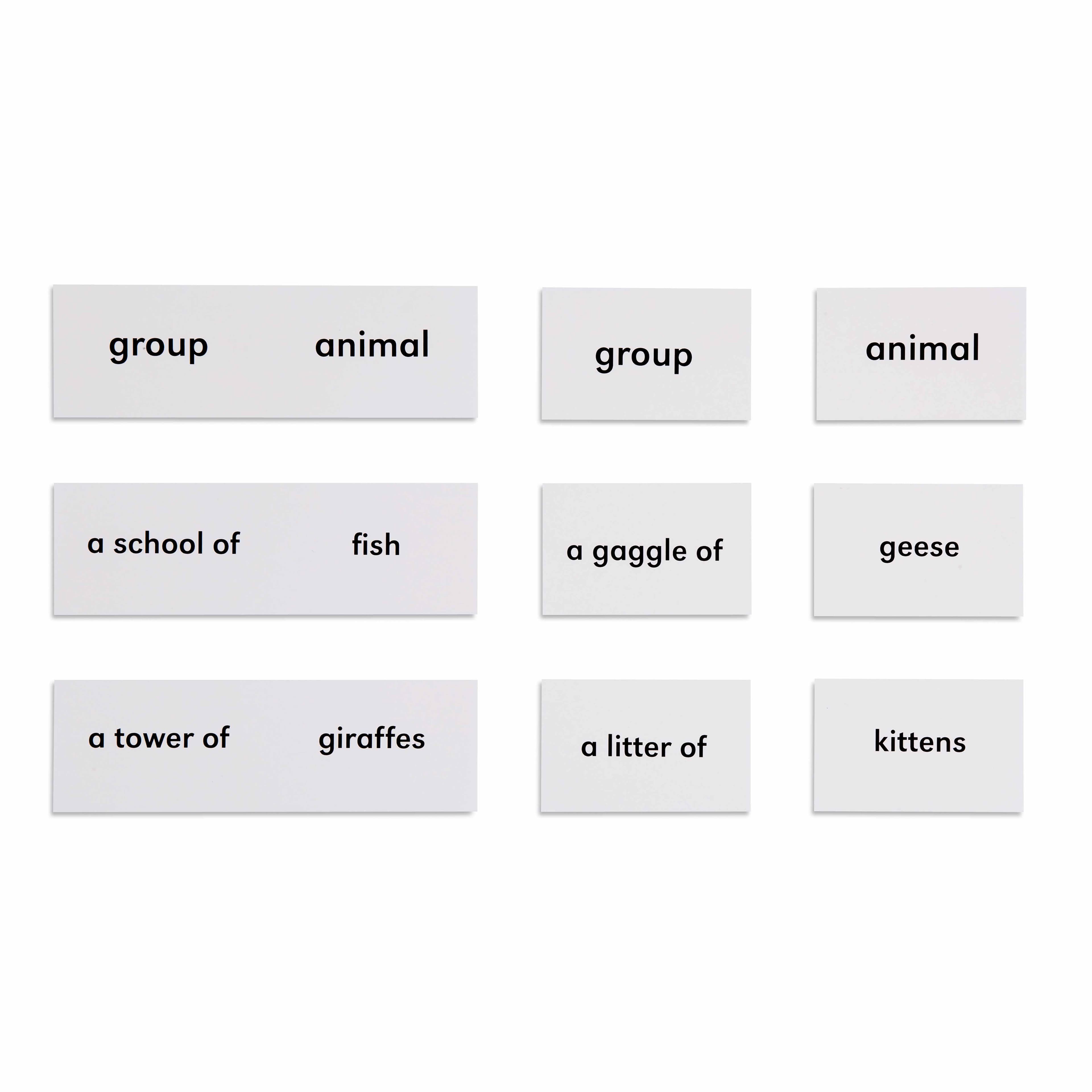 Tiere und ihre Gruppen