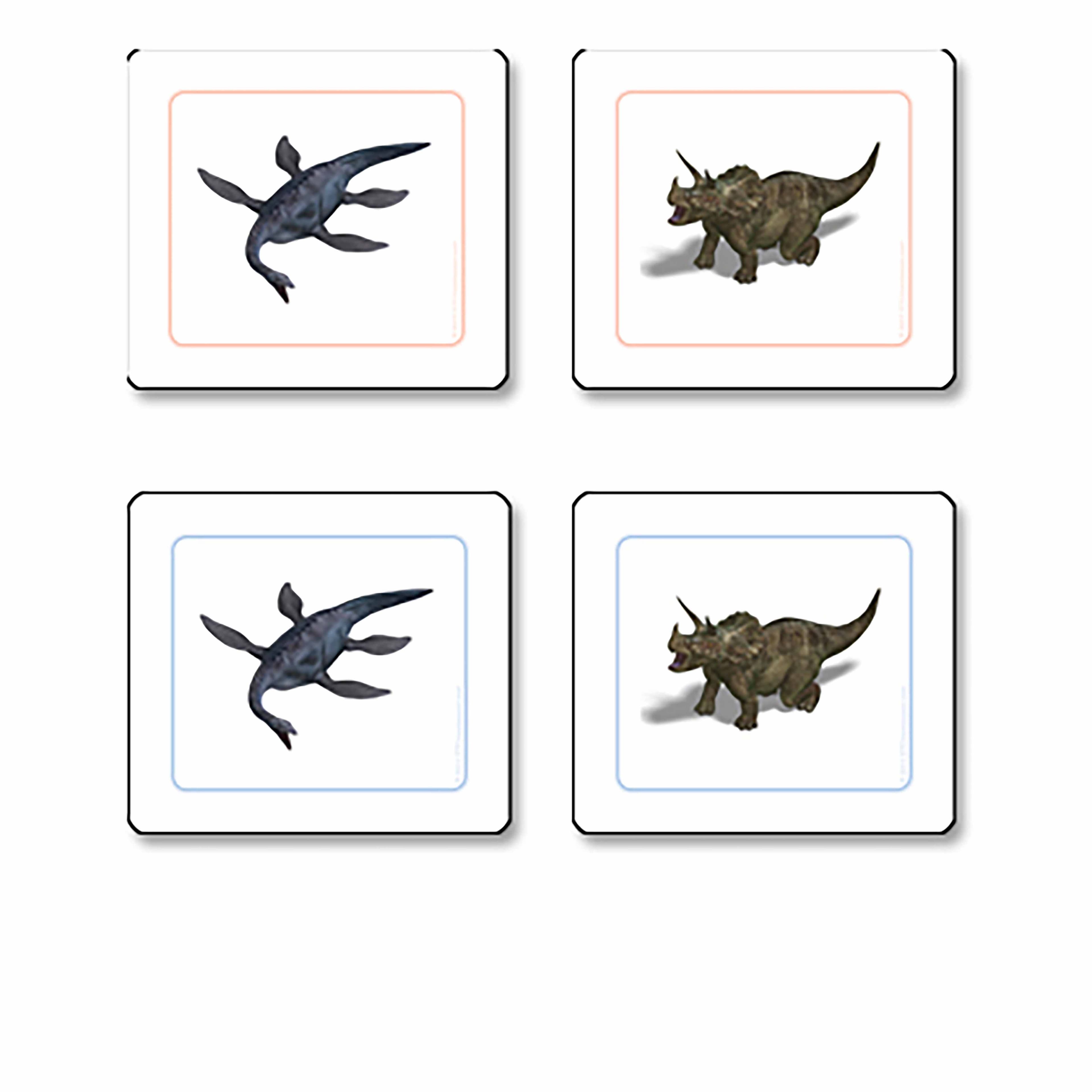 Dinosaurier-Zuordnungskarten