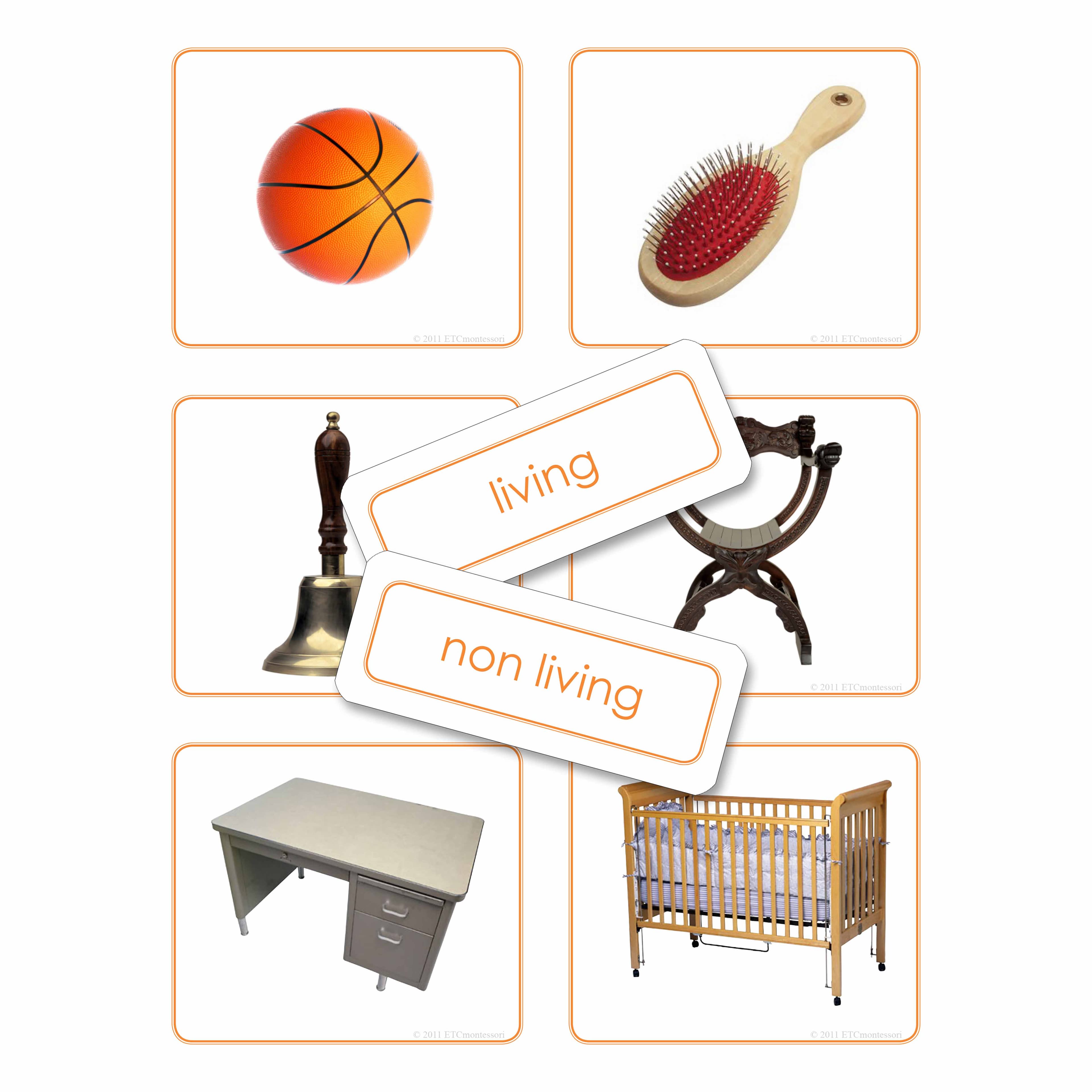 Klassifikationskarten: Lebendig und Nicht-lebendig