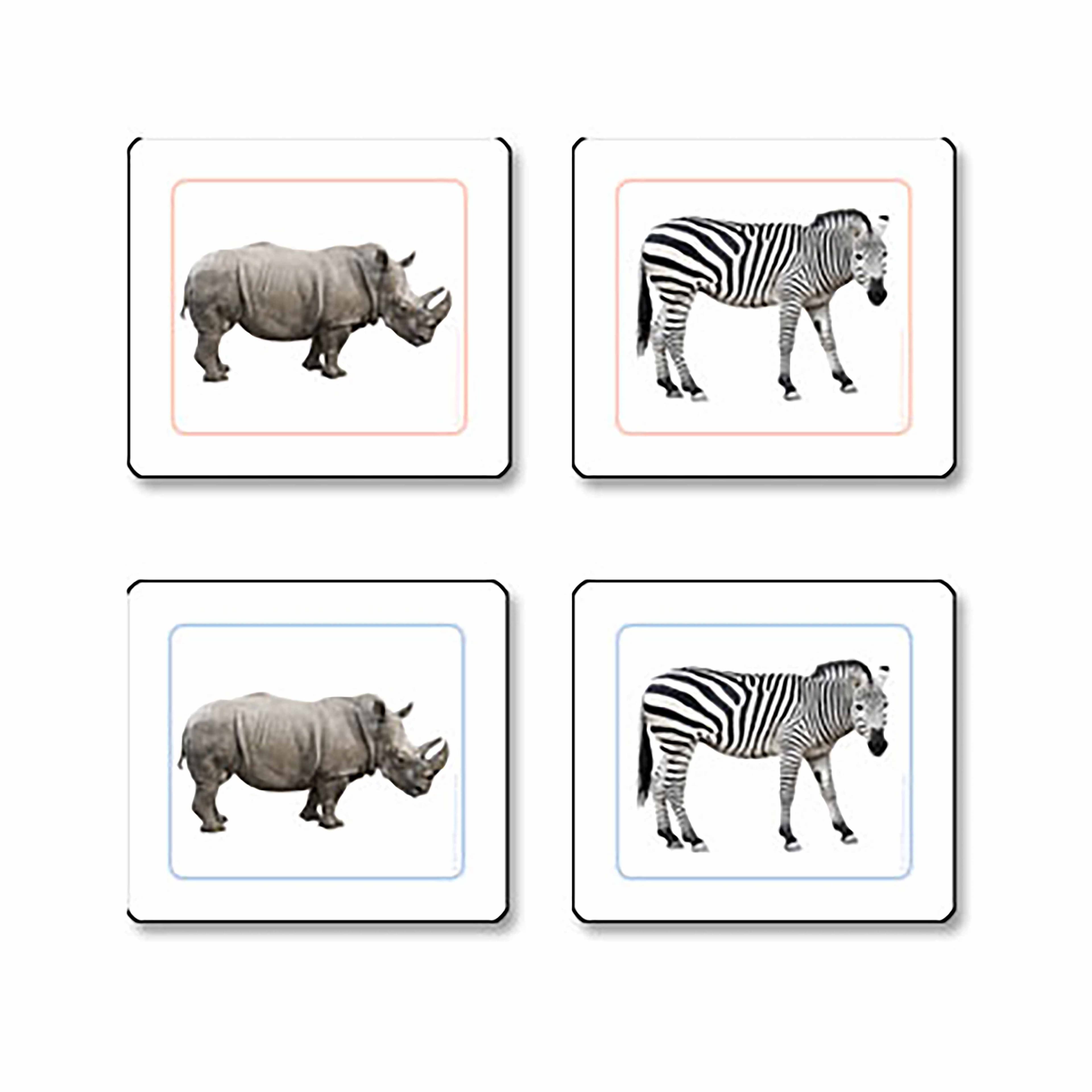 Afrikanische Tiere Zuordnungskarten (Spanisch)