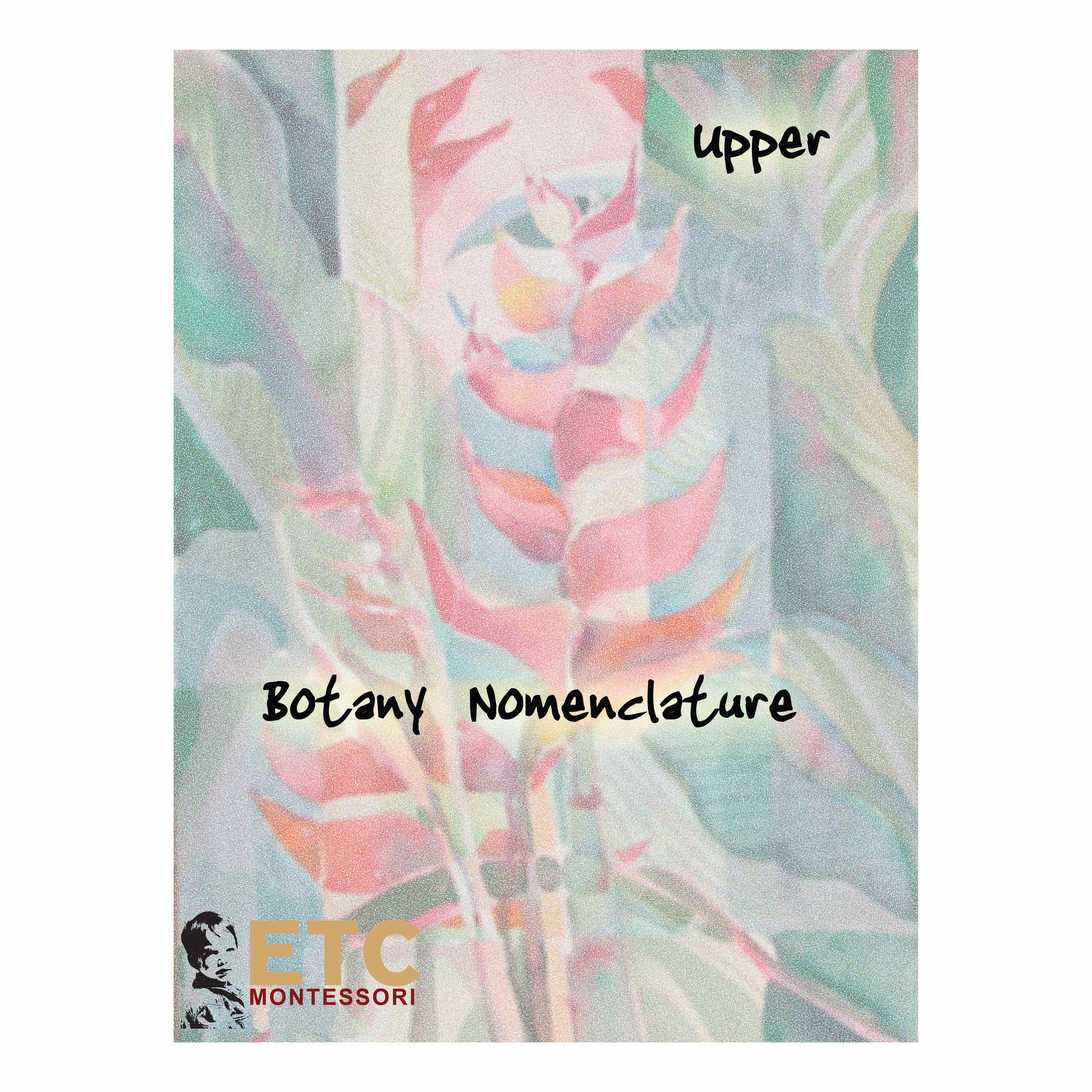 Oberstufe Botanik-Karten — Erweiterte Pflanzennomenklatur — Ansicht 1