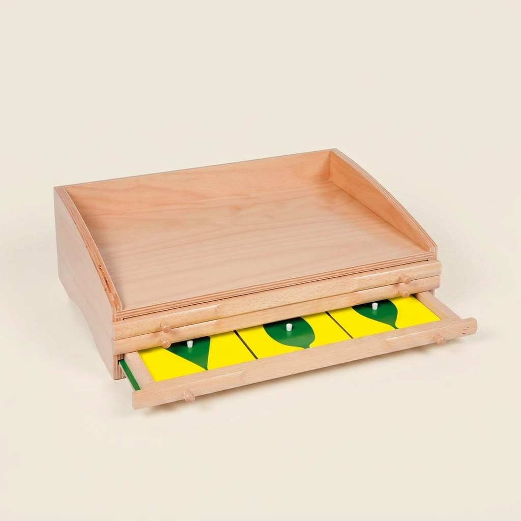 Botanická skrinka — objavovanie tvarov listov - Montessori Material | Faborino
