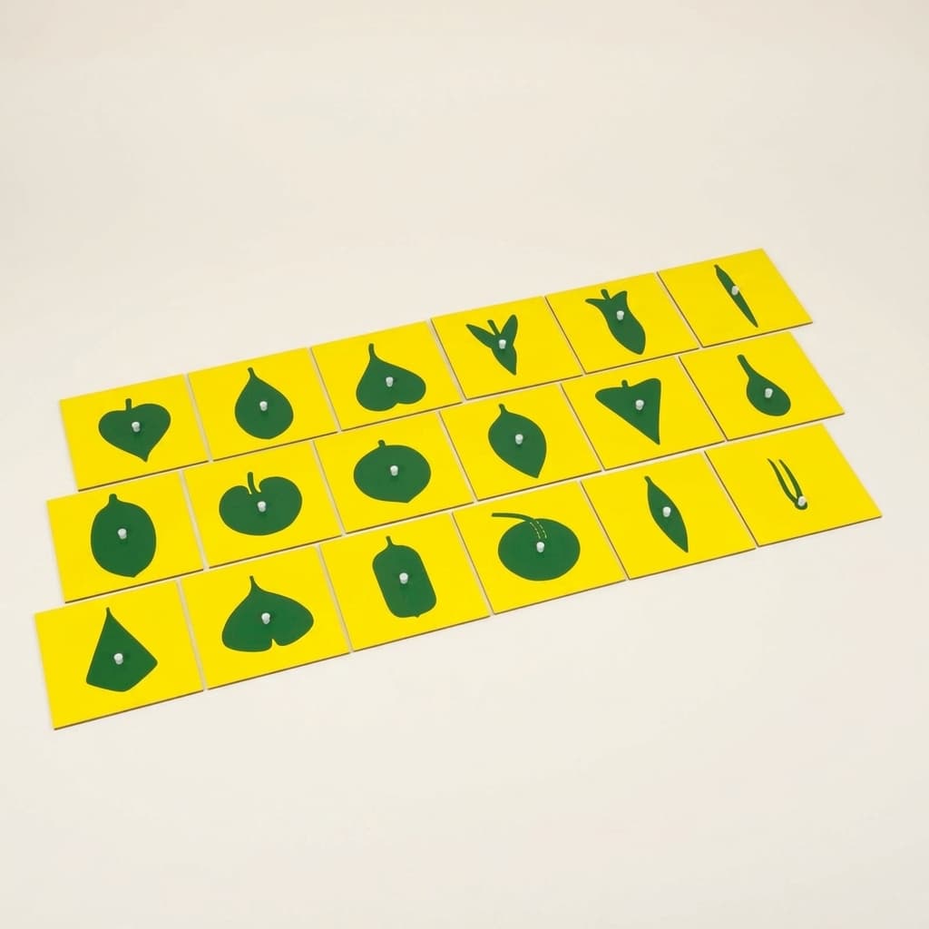 Obsah botanického kabinetu - Montessori Material | Faborino