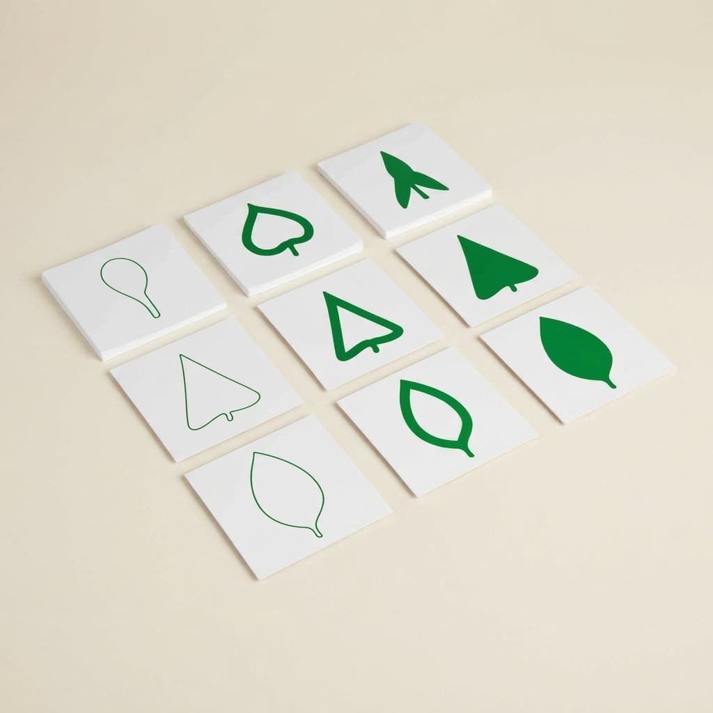 Karty listov — botanická klasifikácia - Montessori Material | Faborino