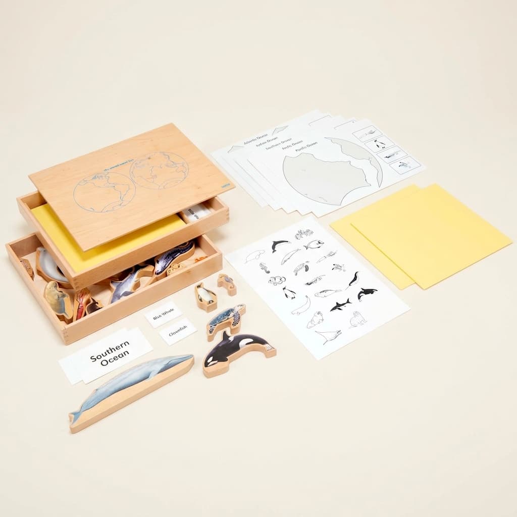 Krabica morských zvierat: Triedenie a slovná zásoba - Montessori Material | Faborino