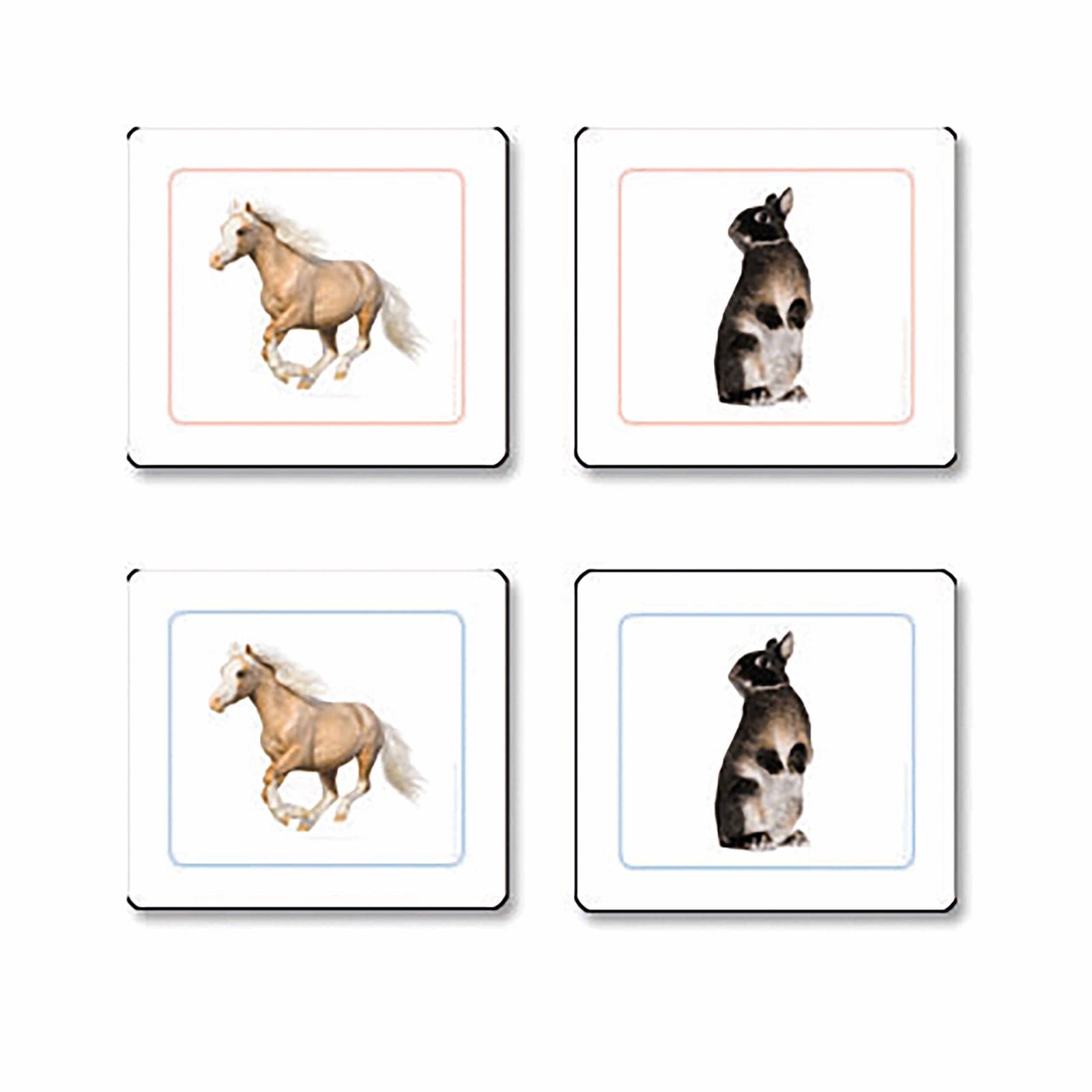 Mammals Matching Work Cards — Child learning